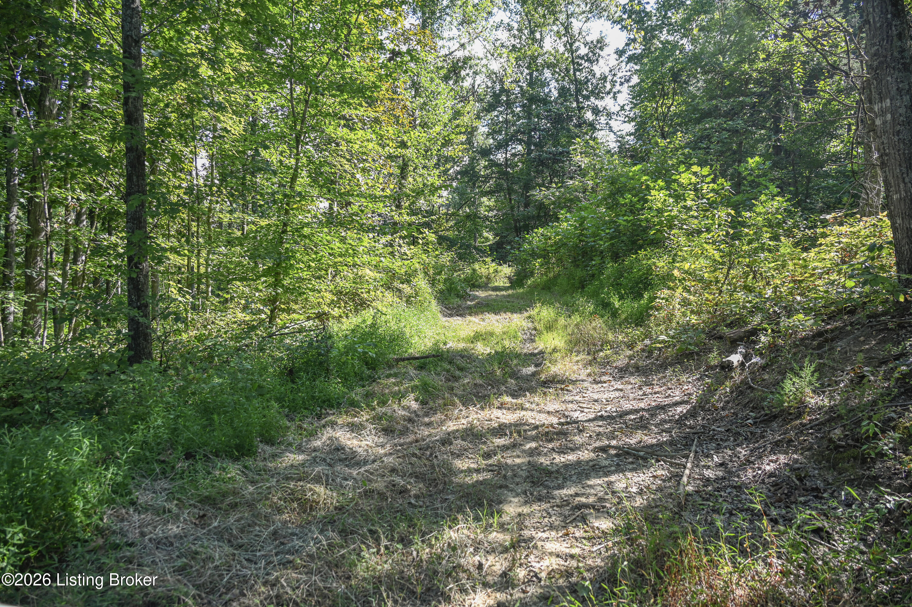 9211 Ky-555 Property Photo 5