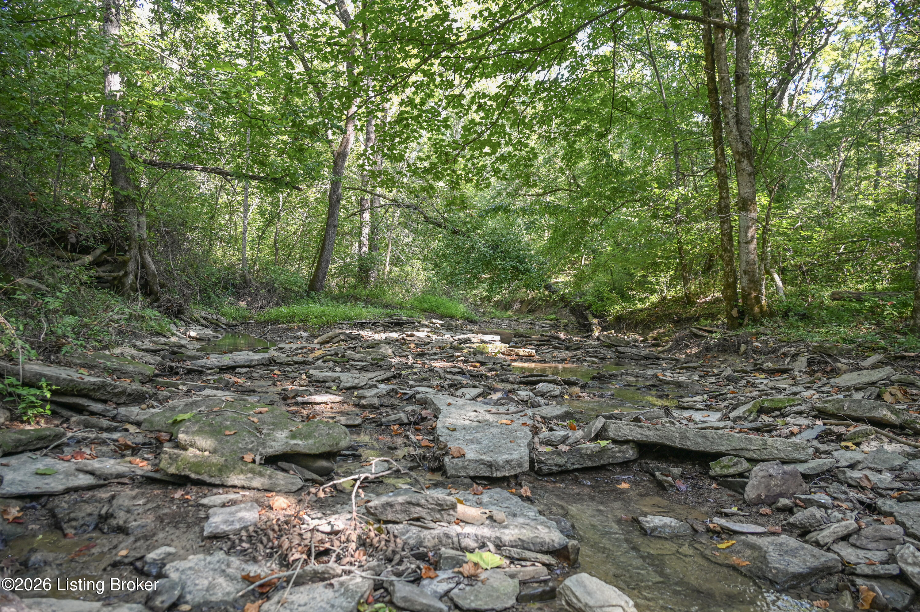 9211 Ky-555 Property Photo 11