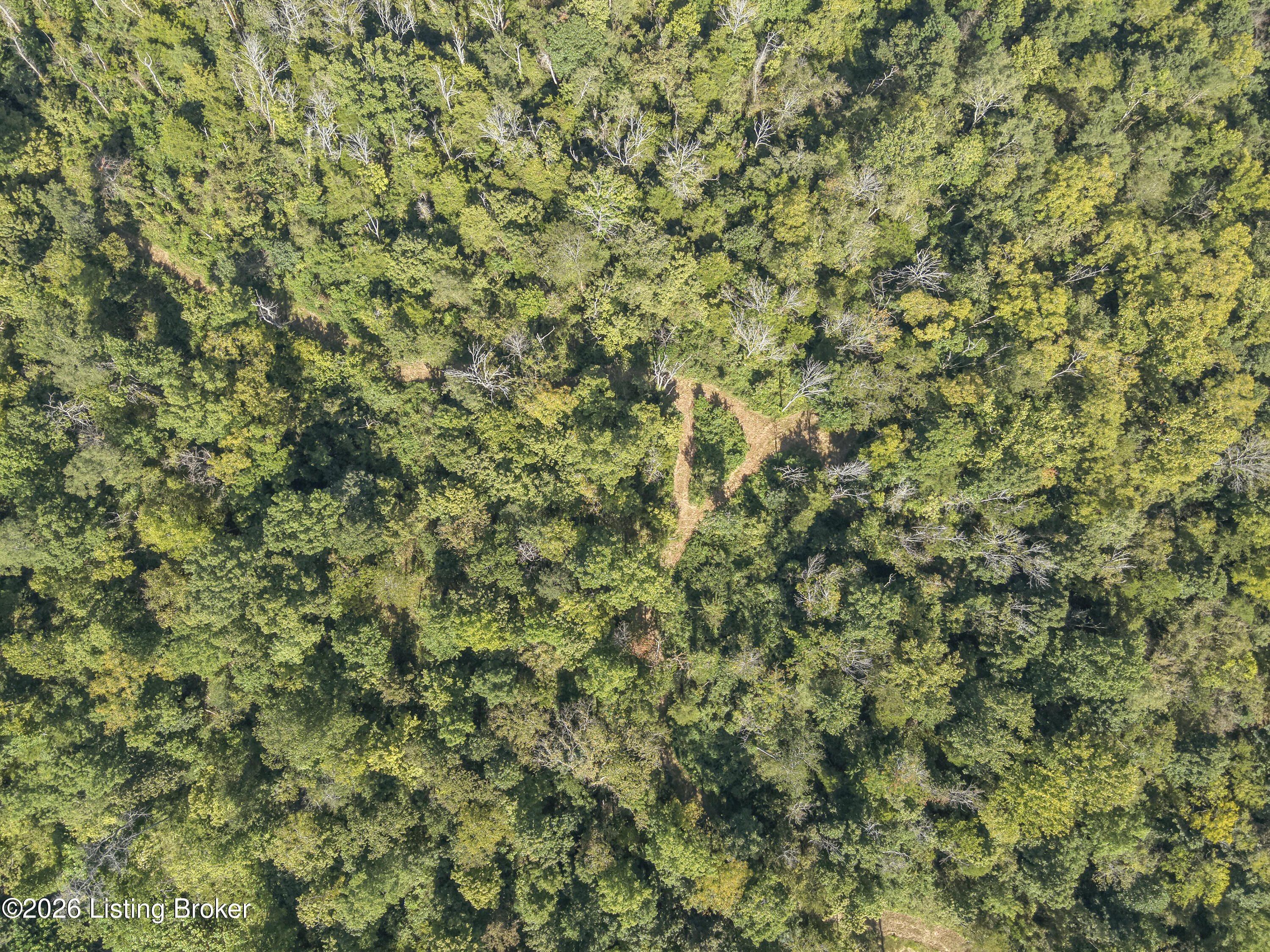 9211 Ky-555 Property Photo 15
