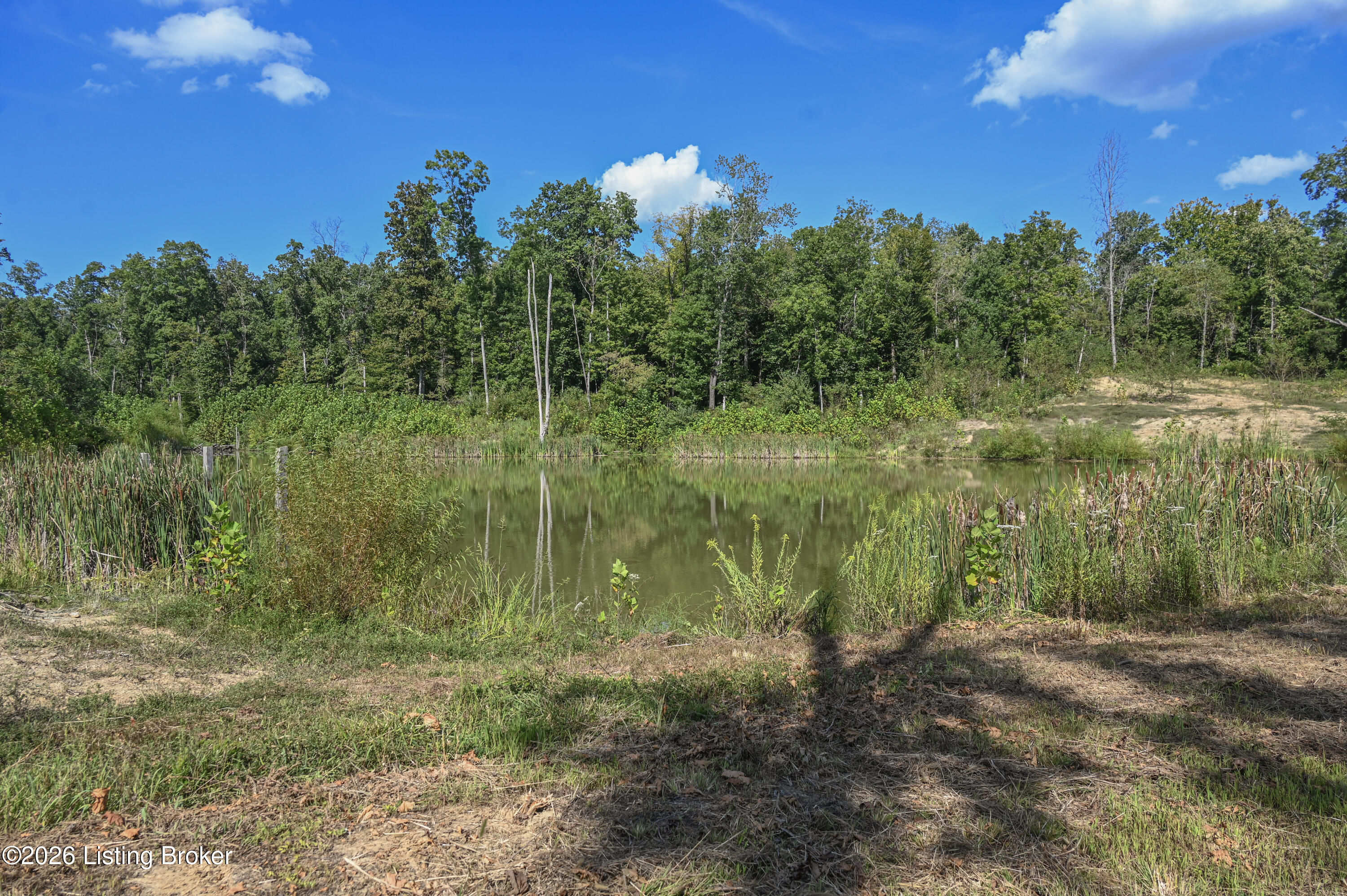 9211 Ky-555 Property Photo 16