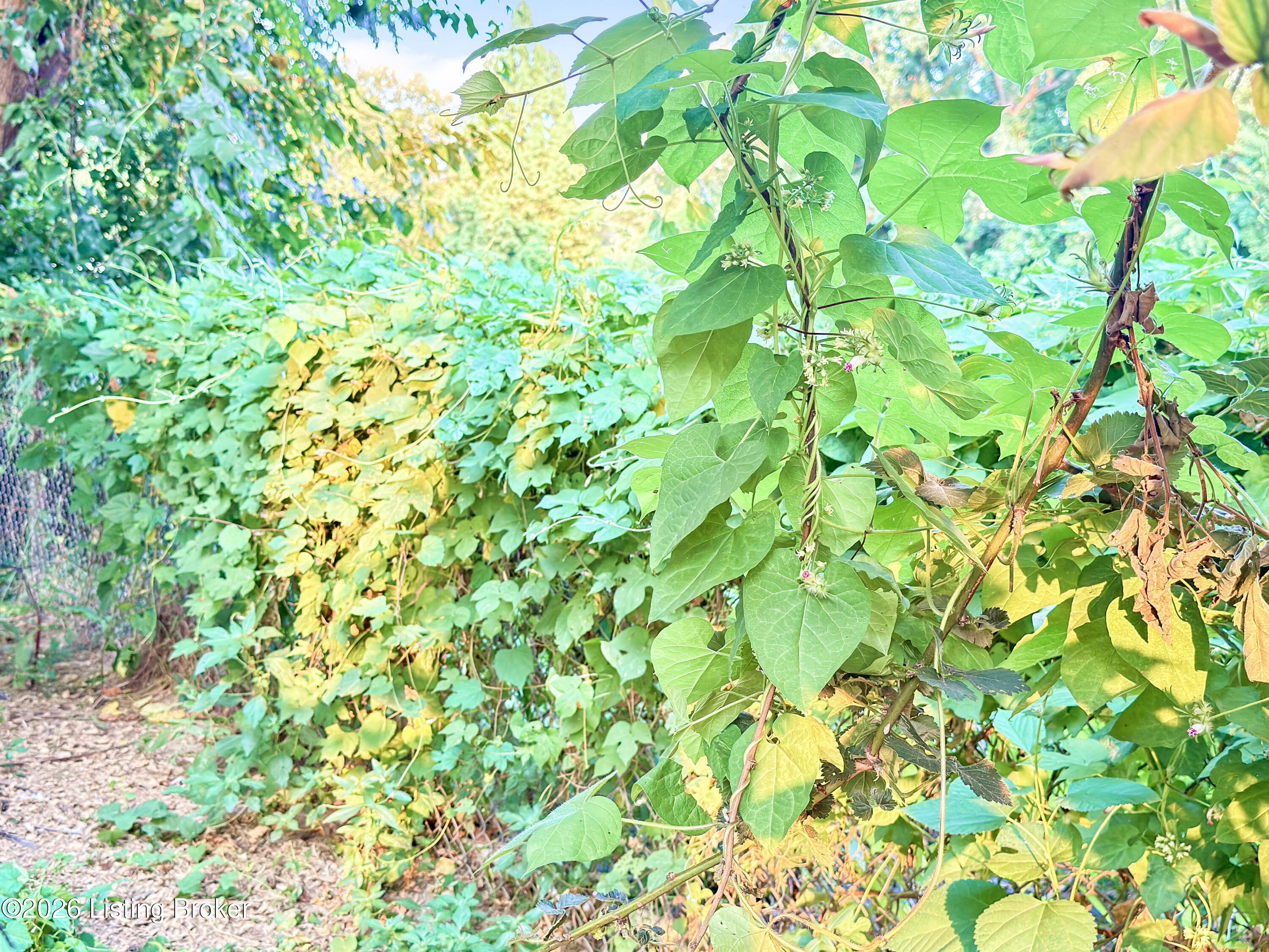 1102 Lone Oak Ave Property Photo 23