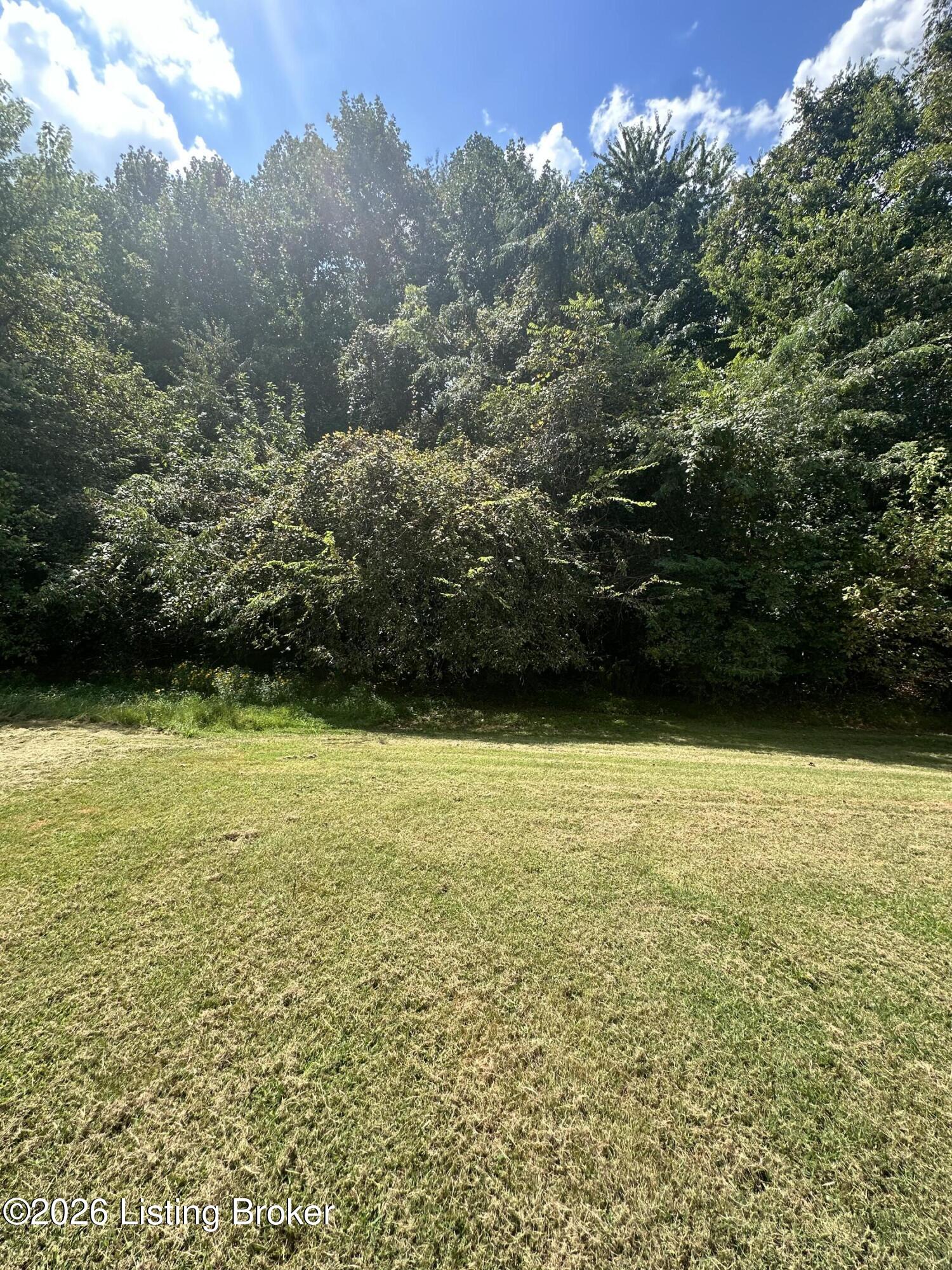 708 Clear Spring Ct Property Photo 6