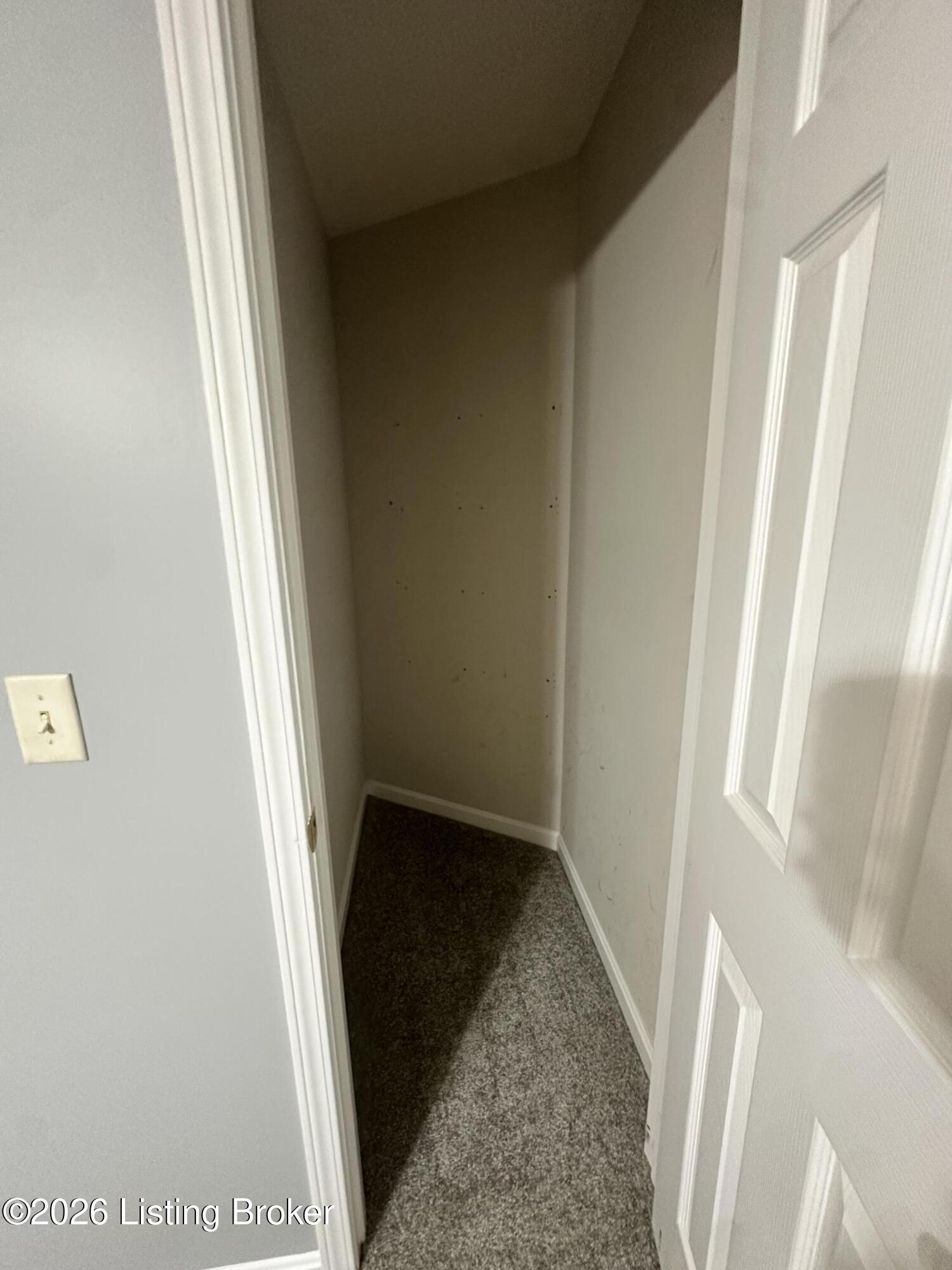 708 Clear Spring Ct Property Photo 27