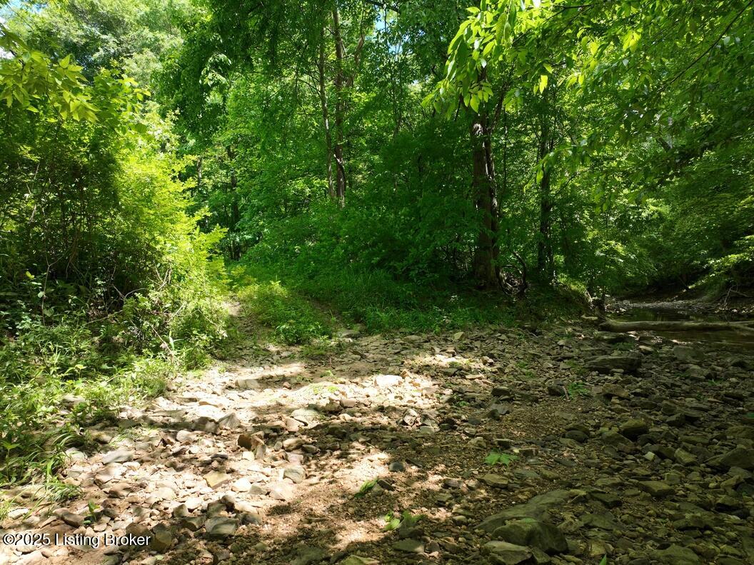 5579 Falls Of Rough Rd Property Photo 14