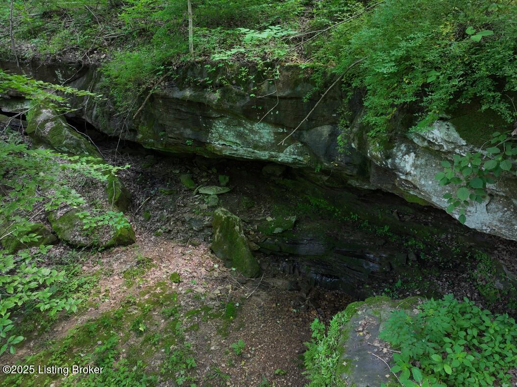 5579 Falls Of Rough Rd Property Photo 19