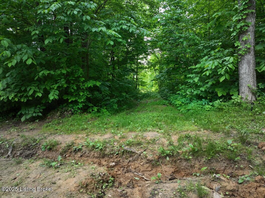 5579 Falls Of Rough Rd Property Photo 31
