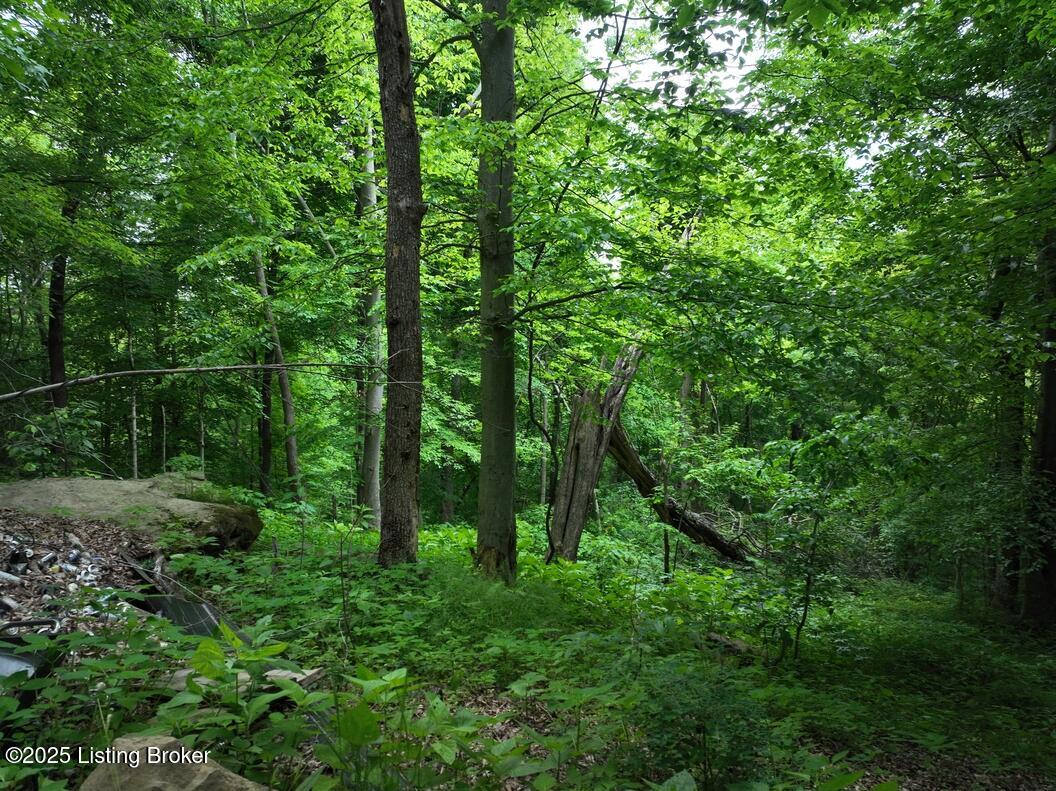 5579 Falls Of Rough Rd Property Photo 32