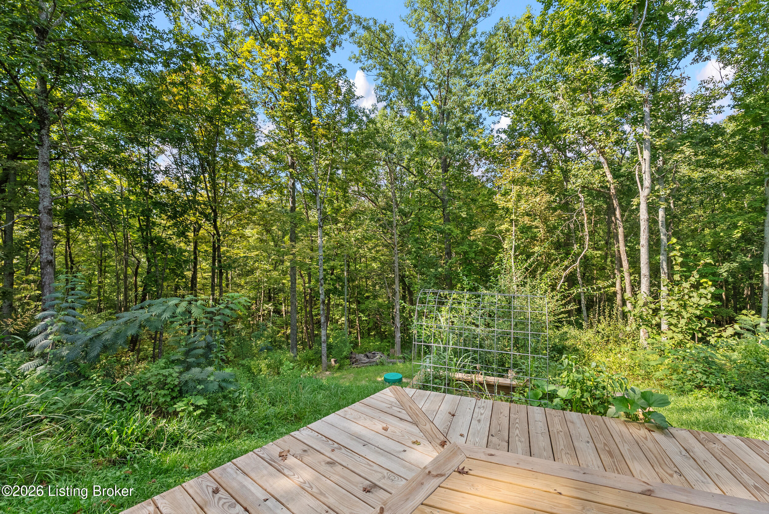 2317 Ridge Rd Property Photo 51