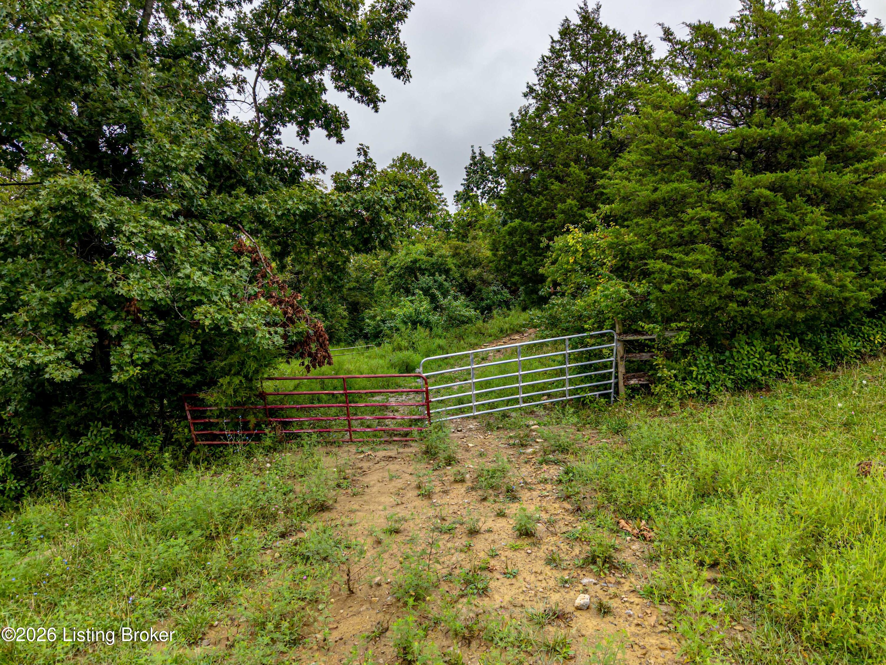 875 Mosby Creek Rd Property Photo 130
