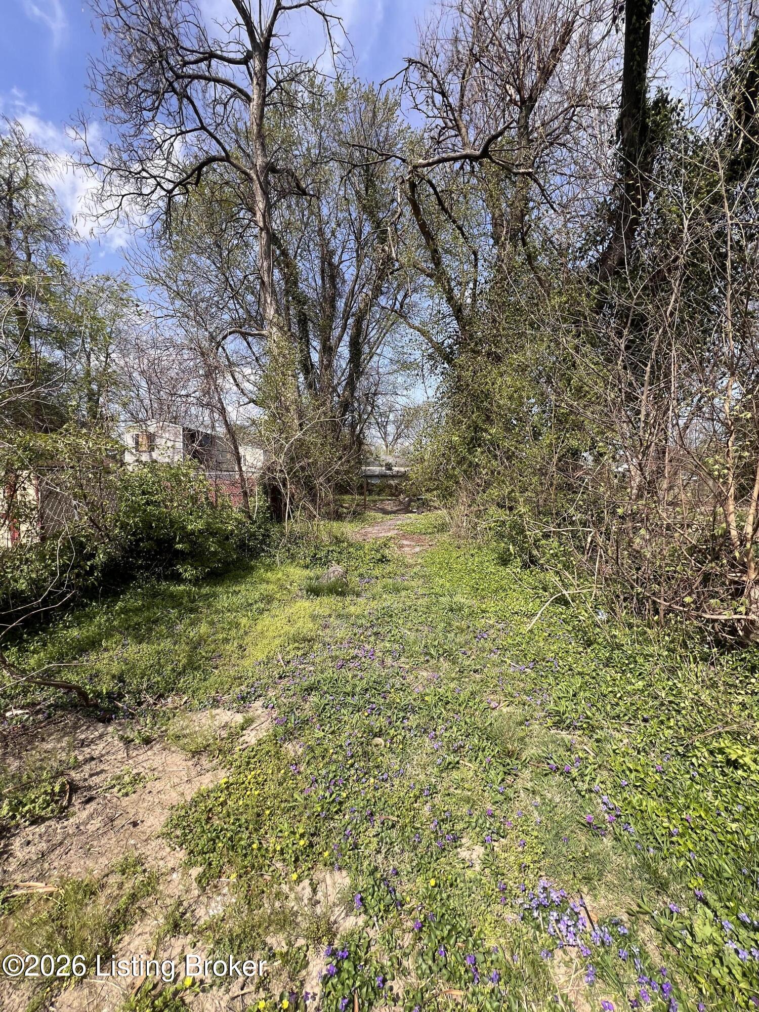 1717 Hale Ave Property Photo 3