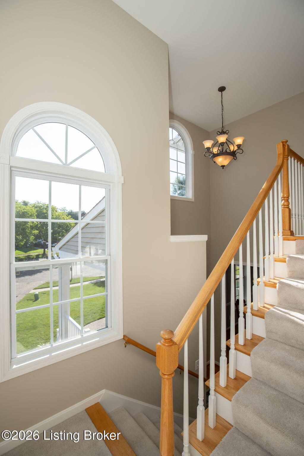5602 Irish Moss Ct Property Photo 29