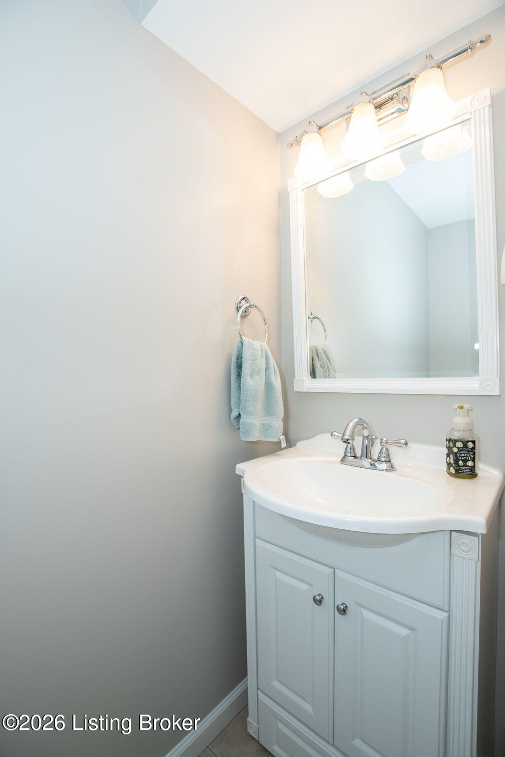 5602 Irish Moss Ct Property Photo 54
