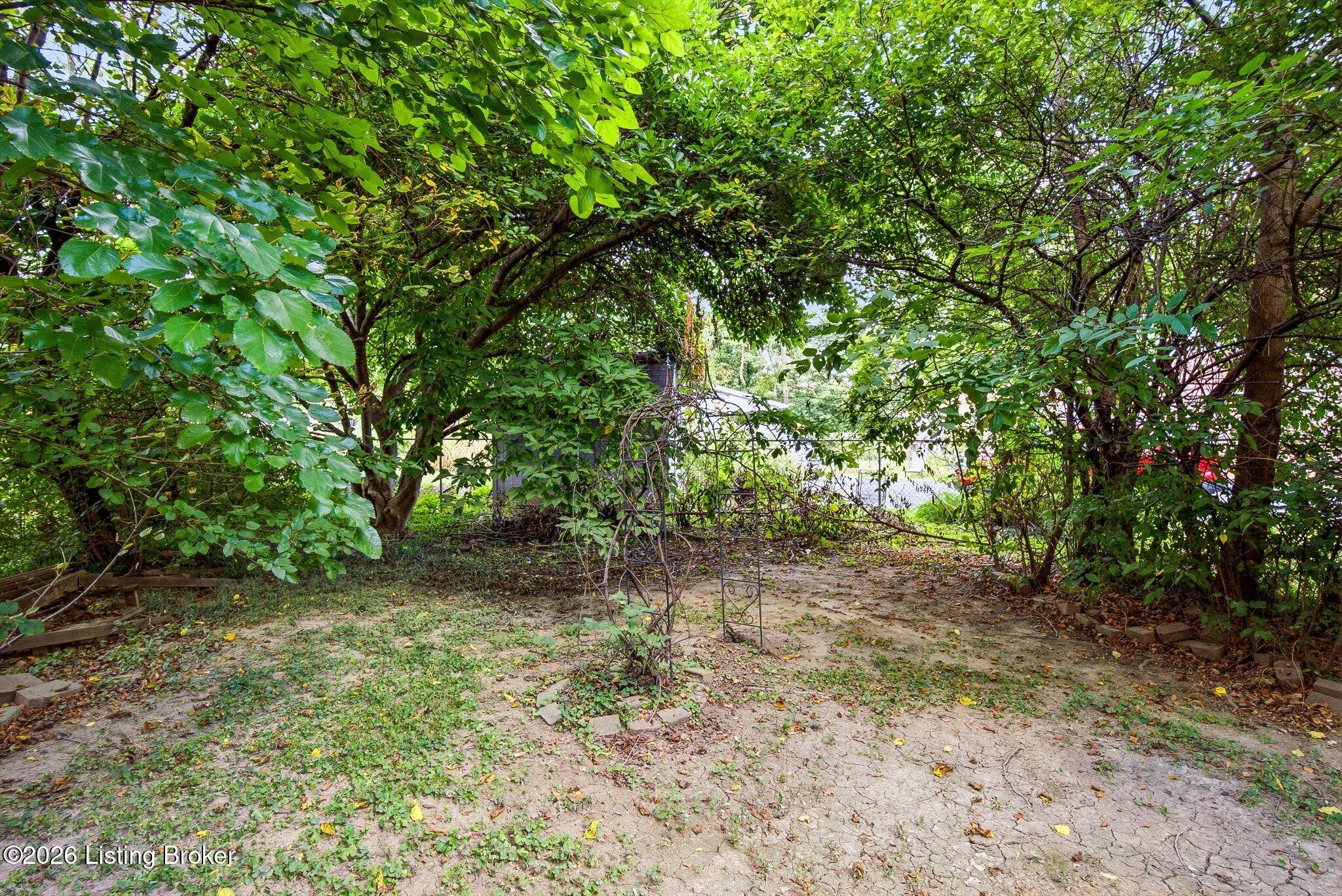 10504 Wake Ct Property Photo 32
