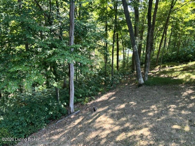215 Carver Dr Property Photo 7