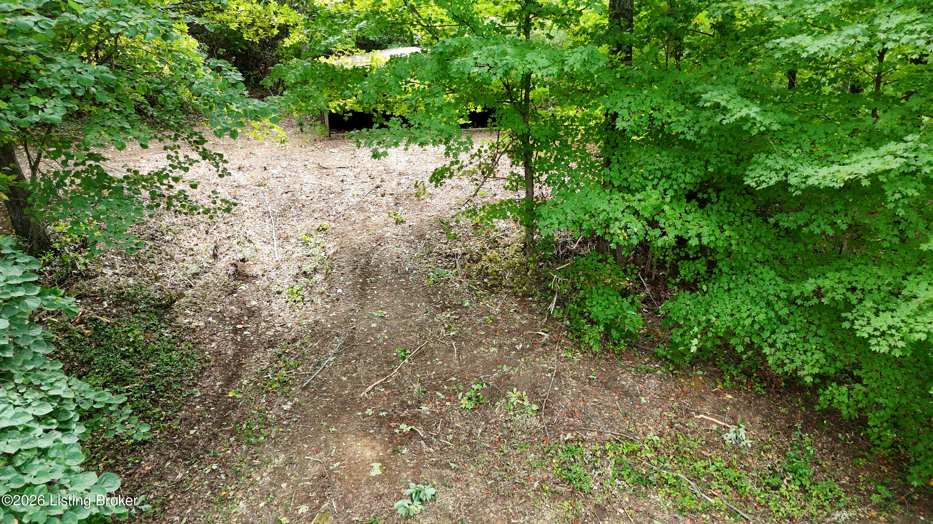16305 Cub Run Hwy Property Photo 9