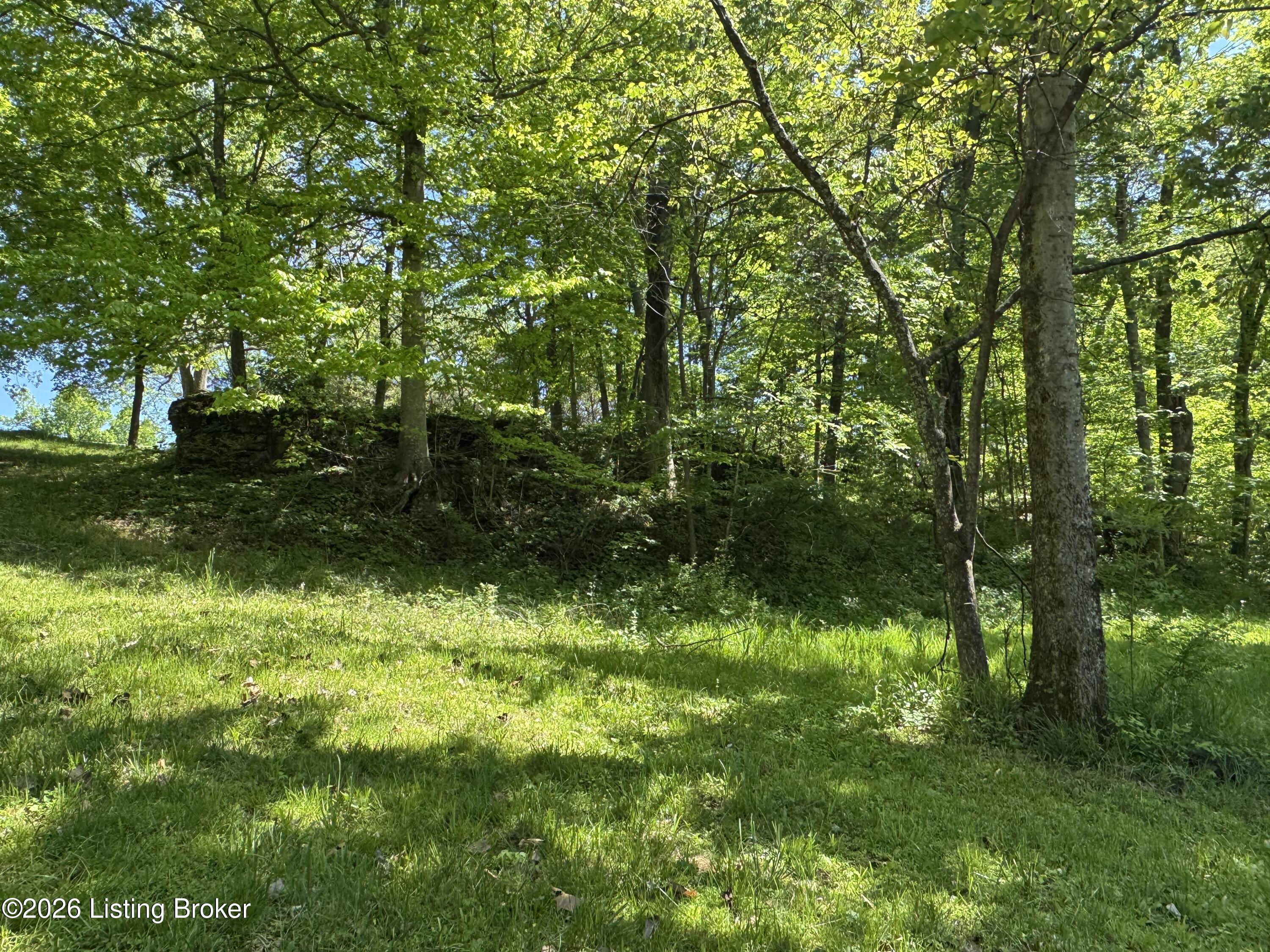 199 Lickskillet Dr Property Photo 64