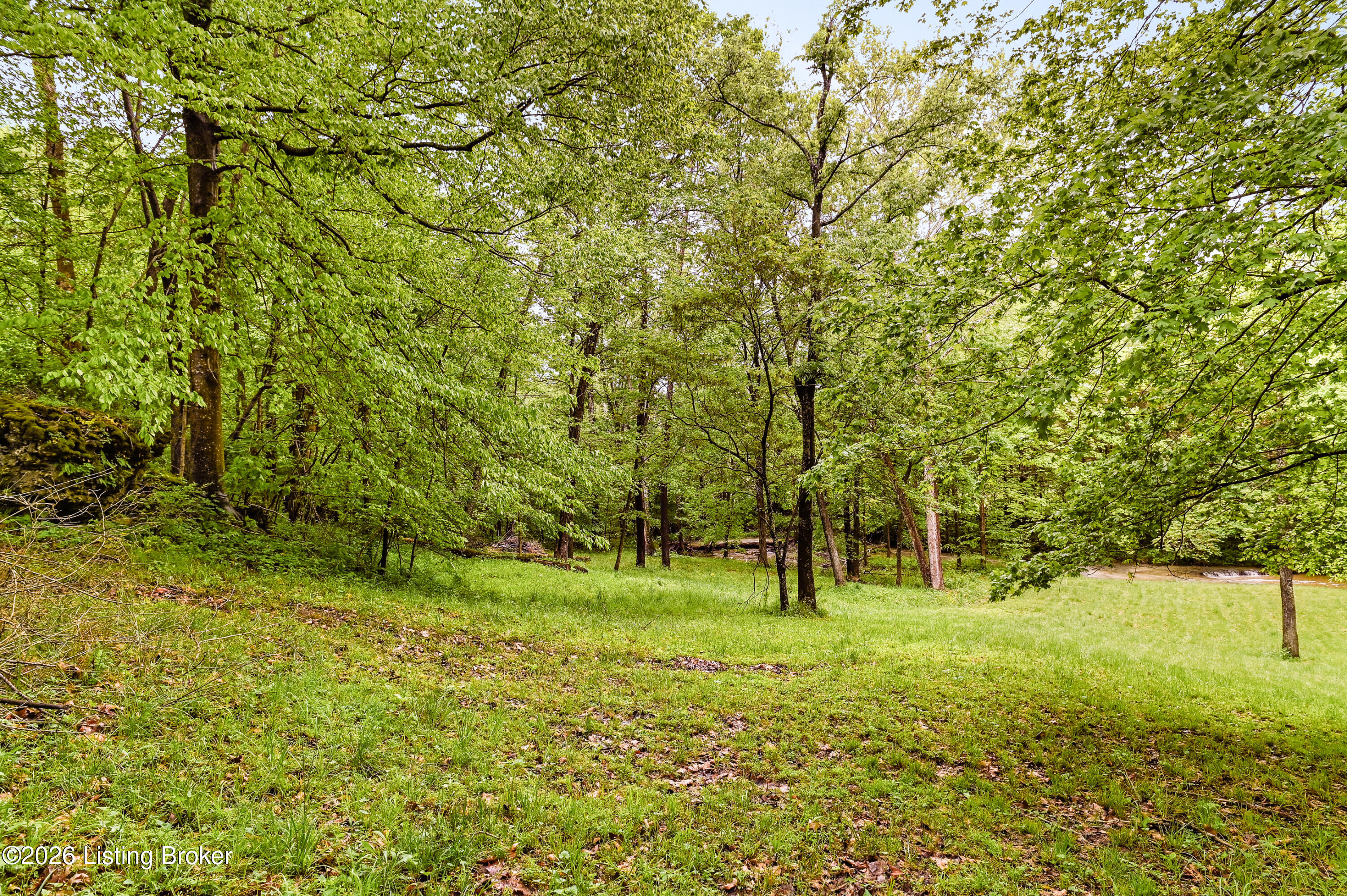 199 Lickskillet Dr Property Photo 69
