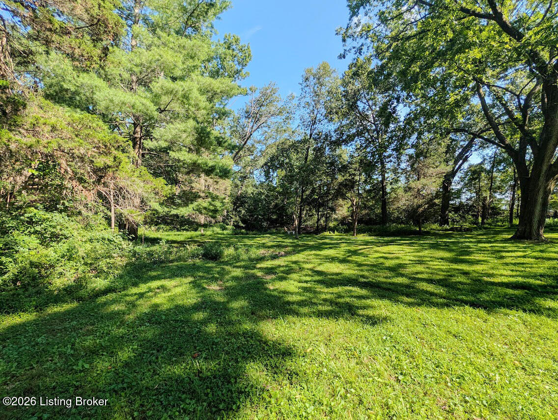 1913 Flat Rock Rd Property Photo 12