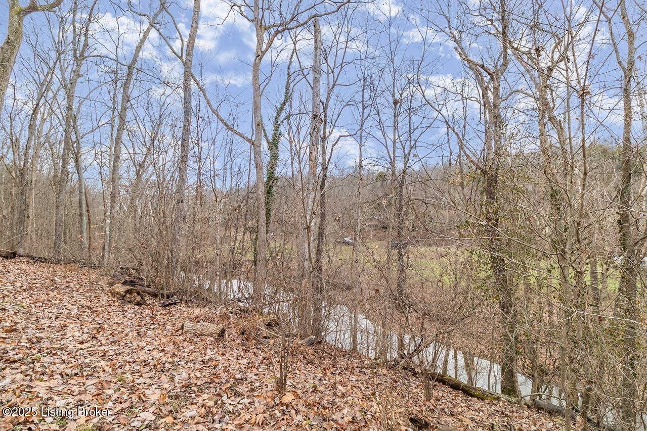 290 Big Cedar Creek Trail Property Photo 48