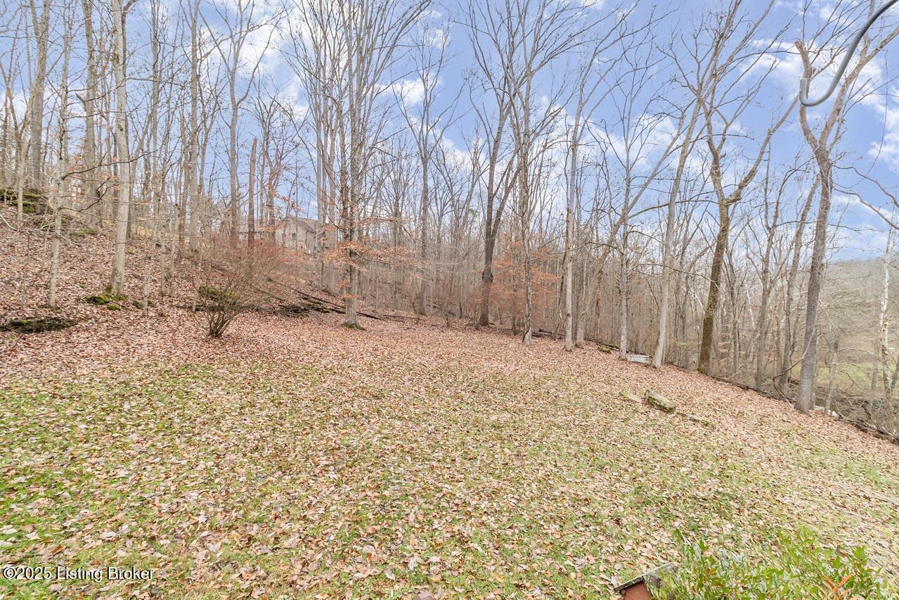 290 Big Cedar Creek Trail Property Photo 49