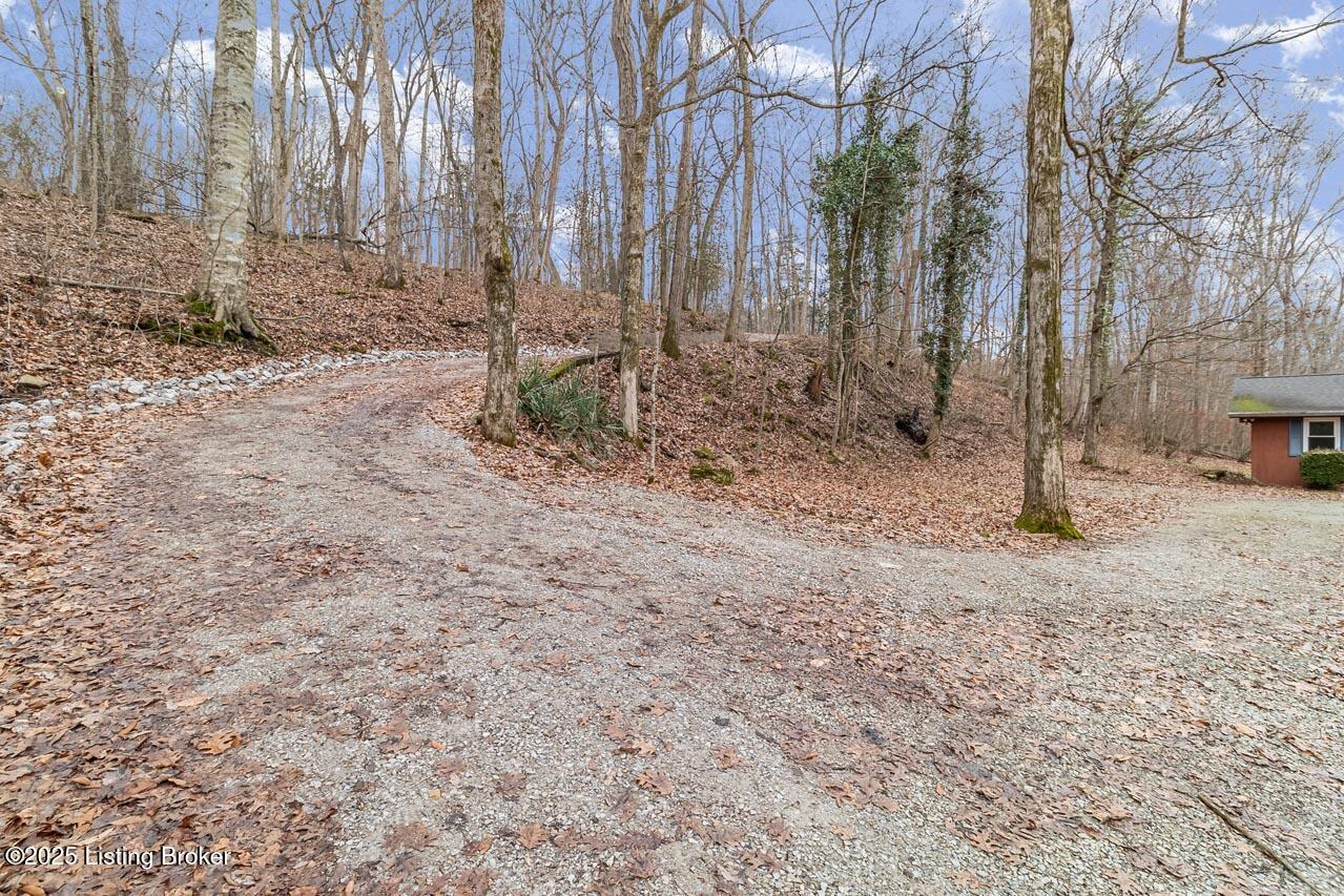 290 Big Cedar Creek Trail Property Photo 51