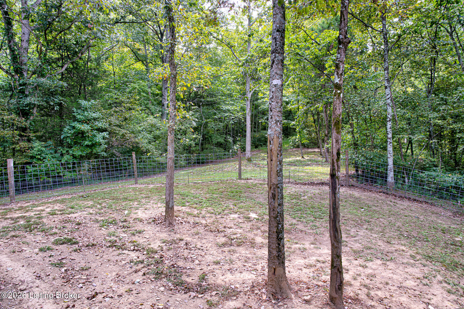 375 Smith Ln Property Photo 21