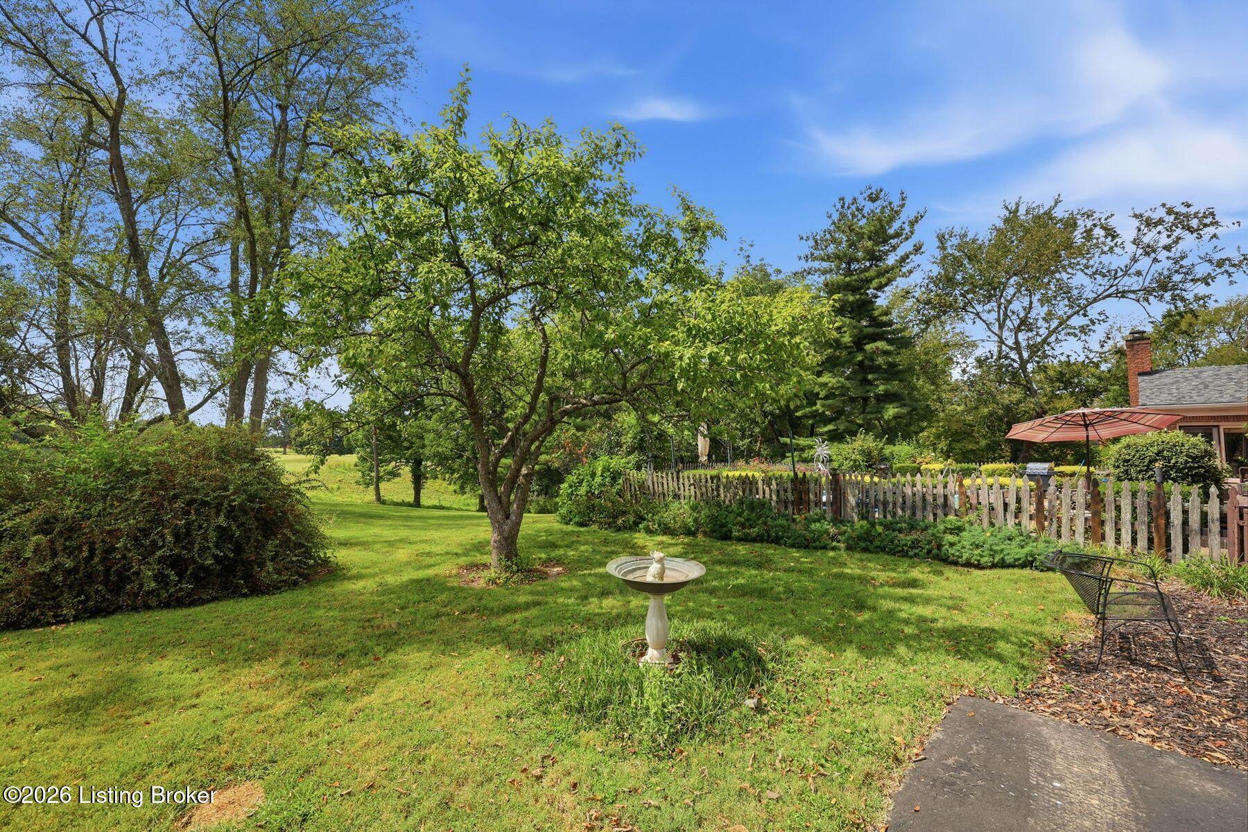 1126 N Highway 1793 Property Photo 43