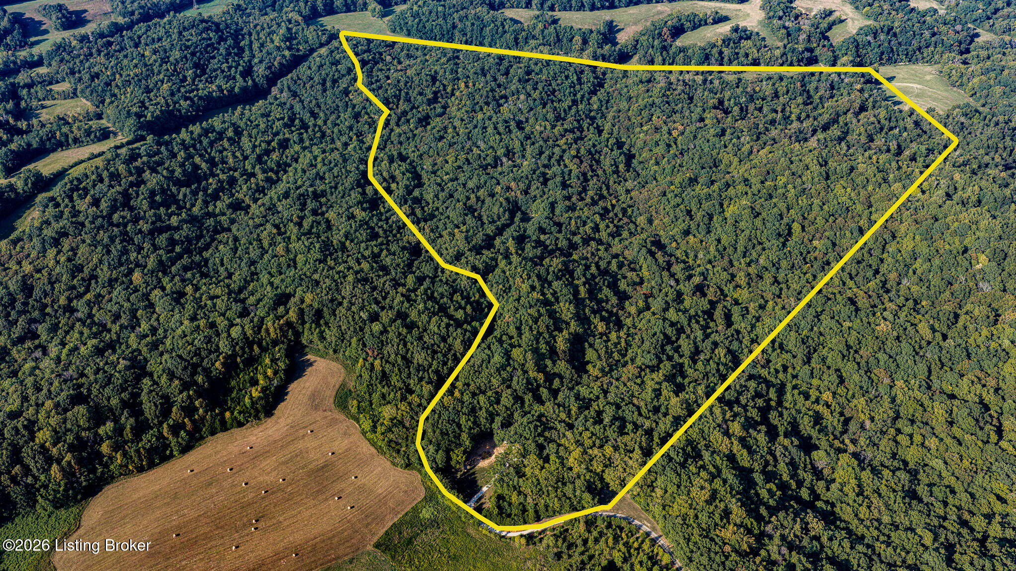 575 Larry Hope Rd Property Photo 3