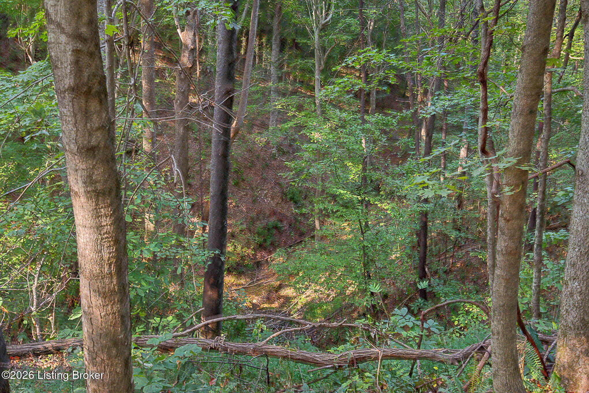 575 Larry Hope Rd Property Photo 19