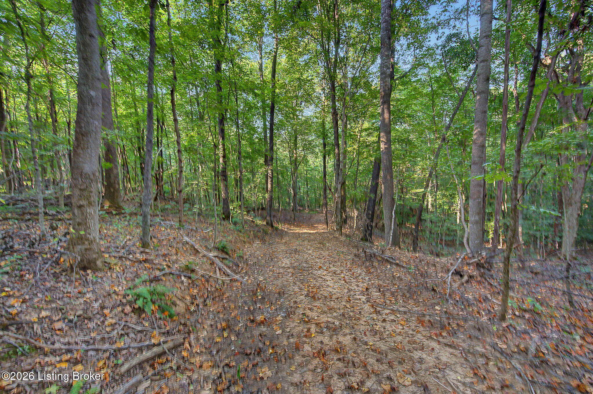 575 Larry Hope Rd Property Photo 20