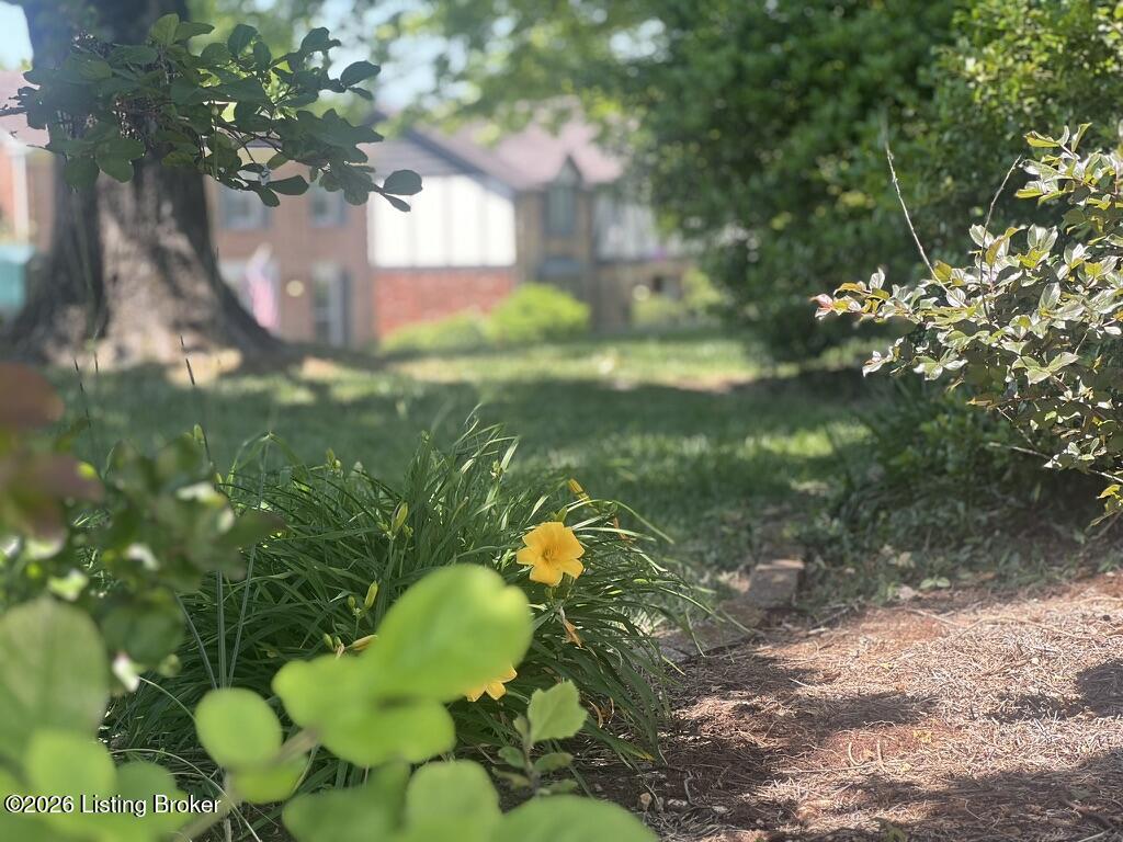 911 Thorpe Dr Property Photo 53