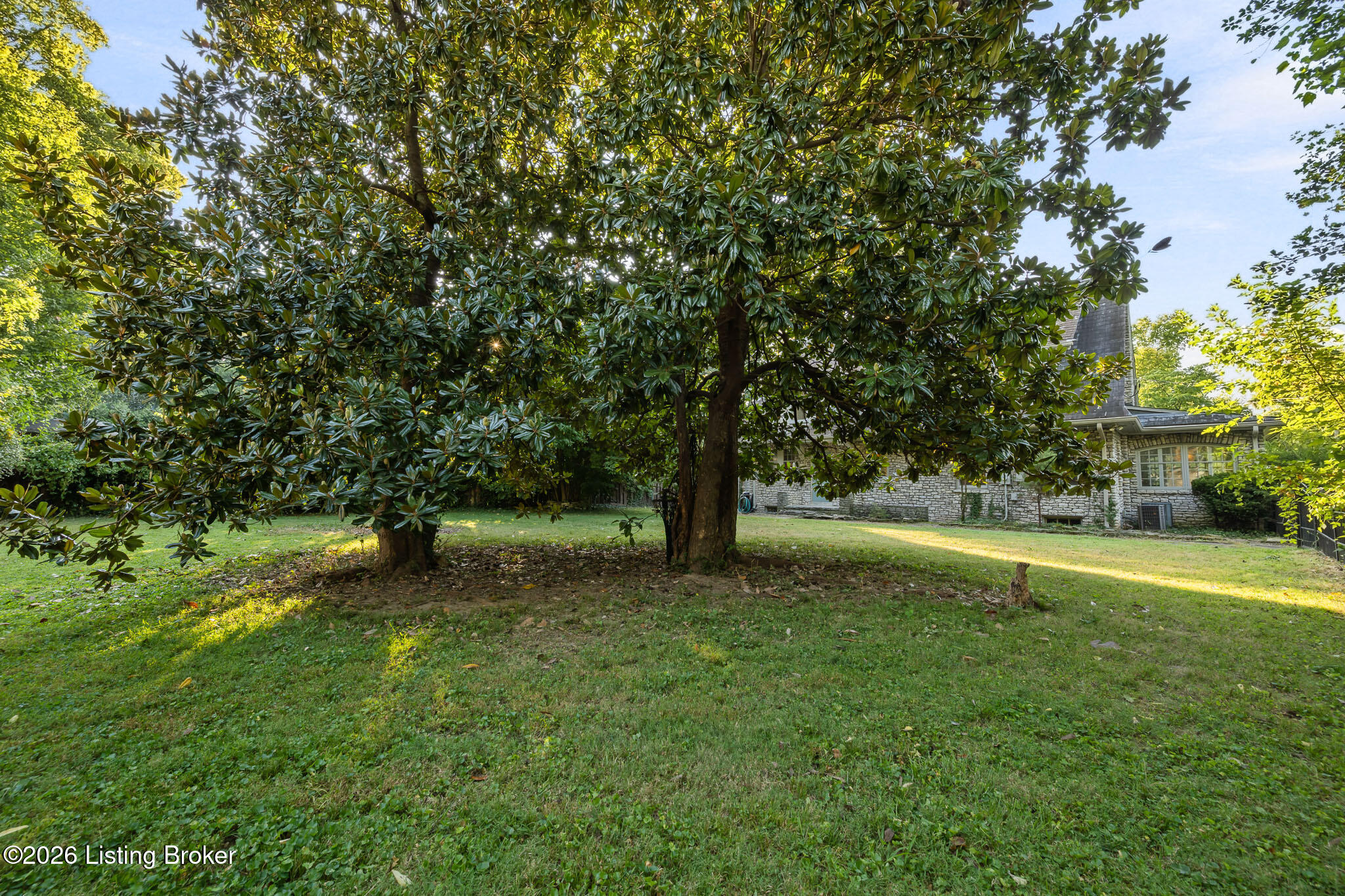 3101 Brownsboro Rd Property Photo 56