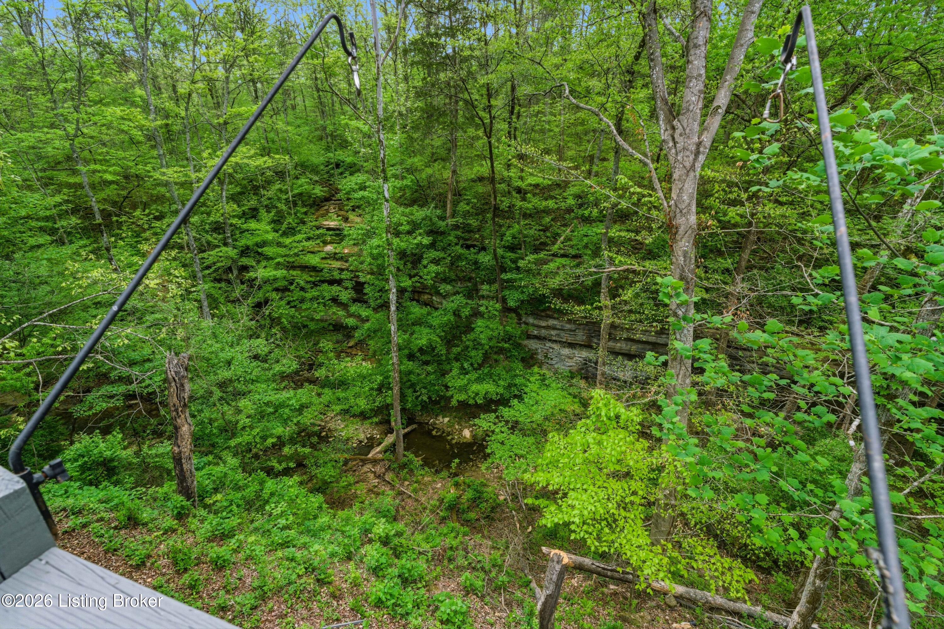 304 Hidden Falls Dr Property Photo 41