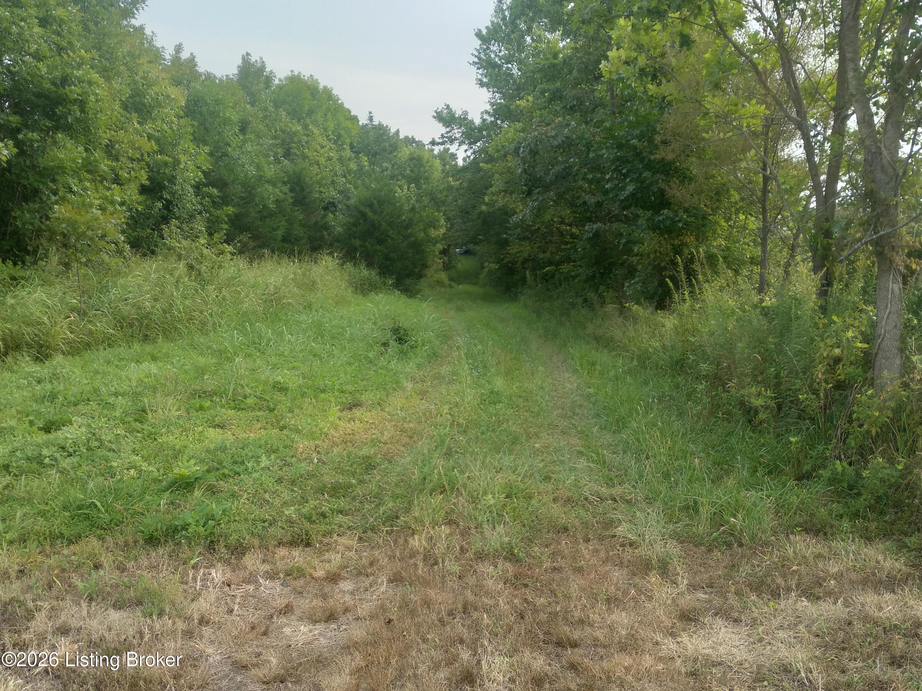 4920 Youngers Creek Rd Property Photo 3