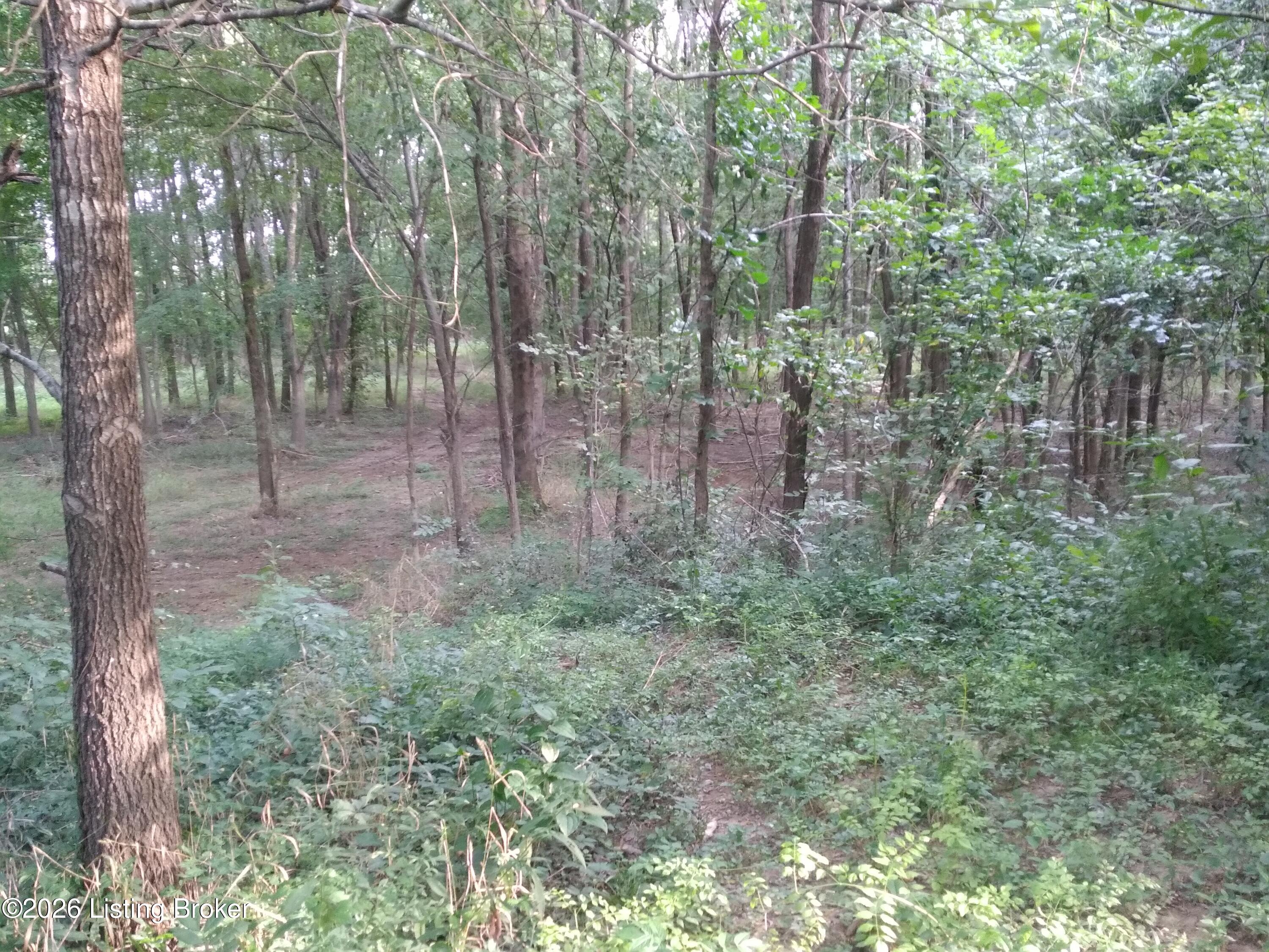 4920 Youngers Creek Rd Property Photo 4