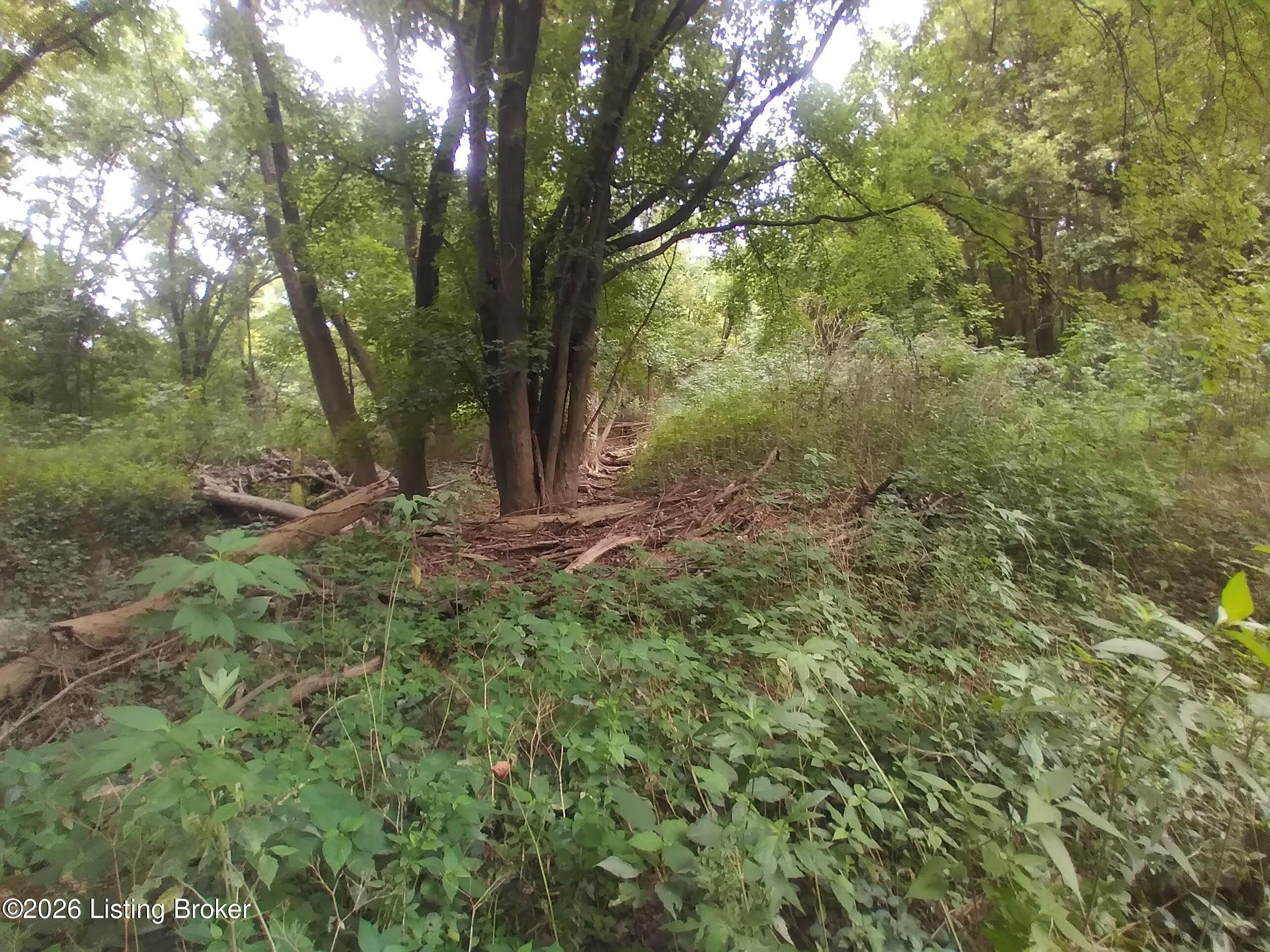 4920 Youngers Creek Rd Property Photo 5