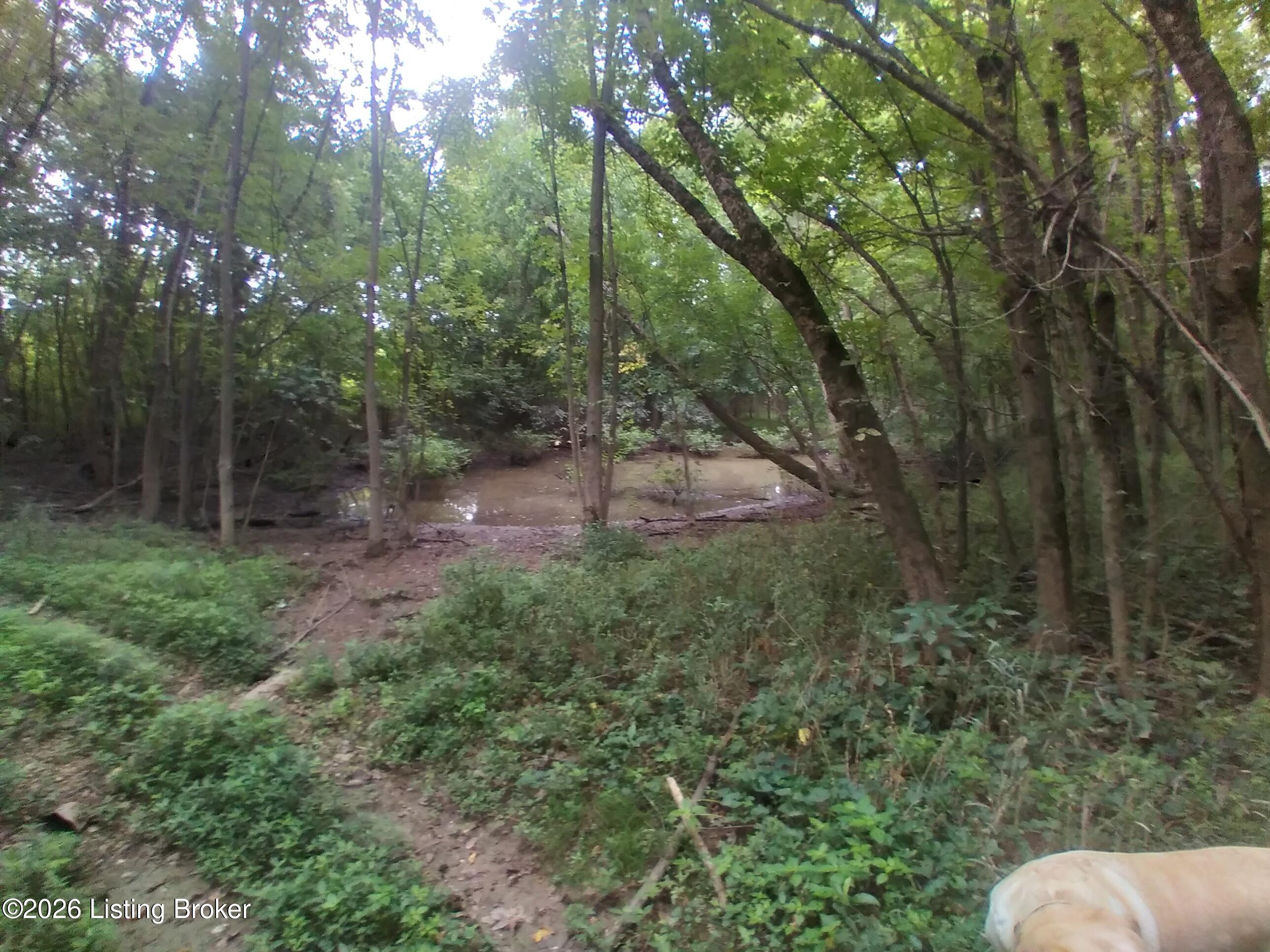 4920 Youngers Creek Rd Property Photo 8