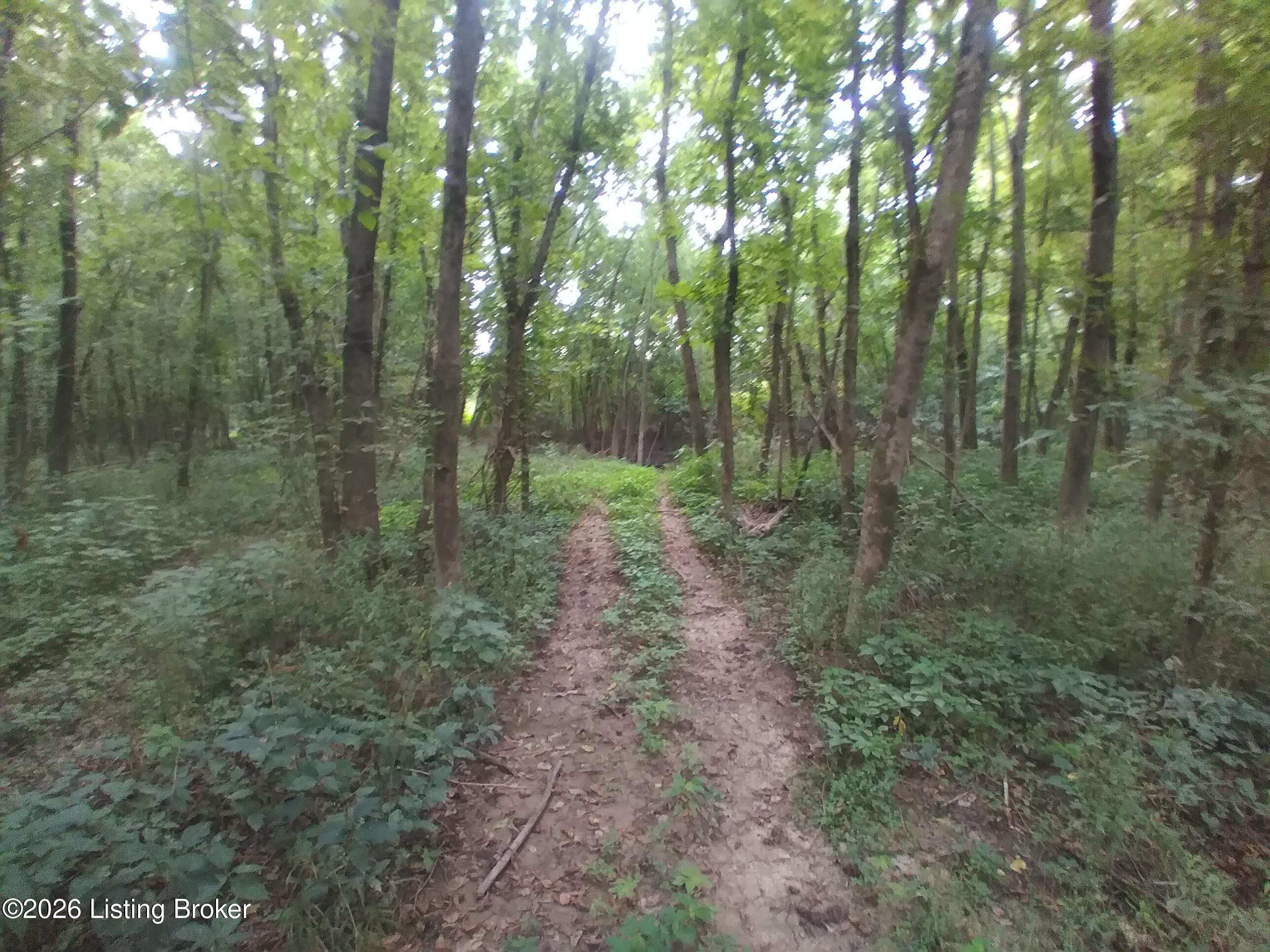 4920 Youngers Creek Rd Property Photo 9