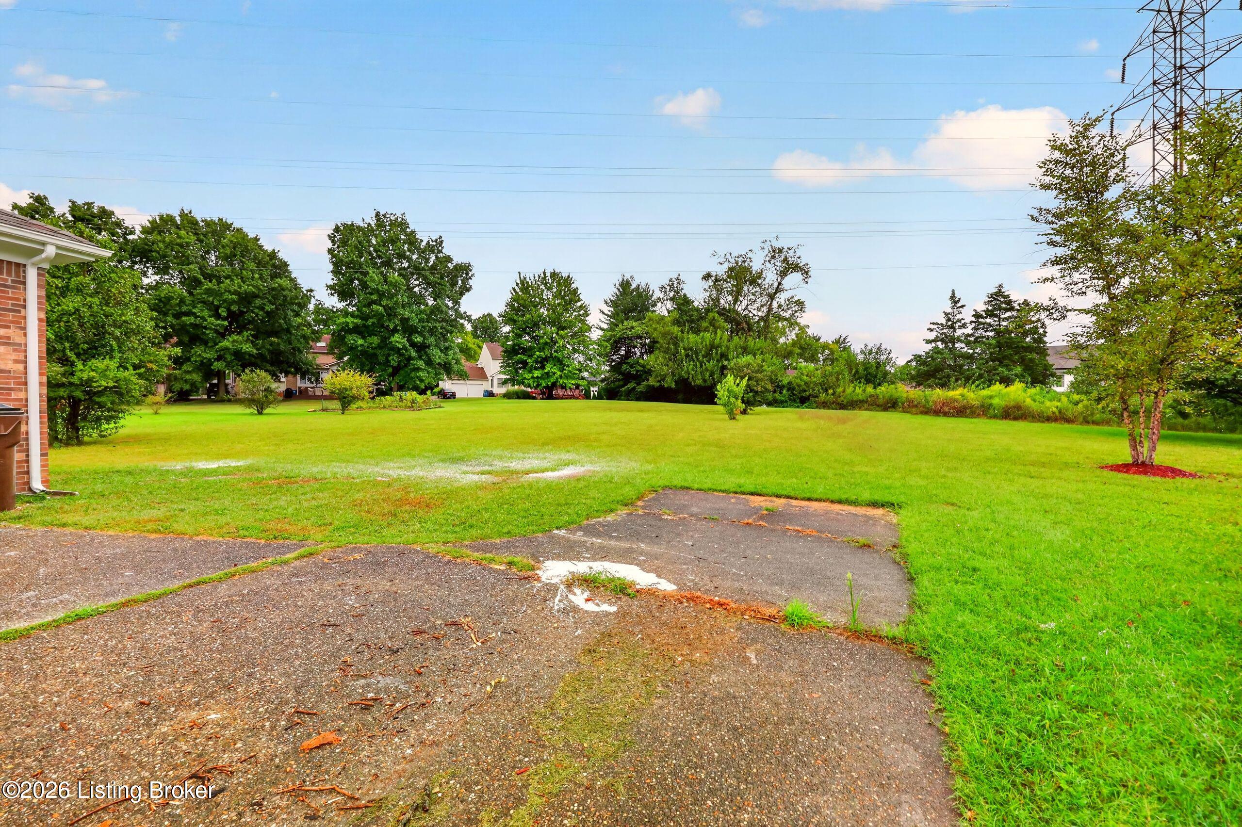 913 Brierly Hill Ct Property Photo 62