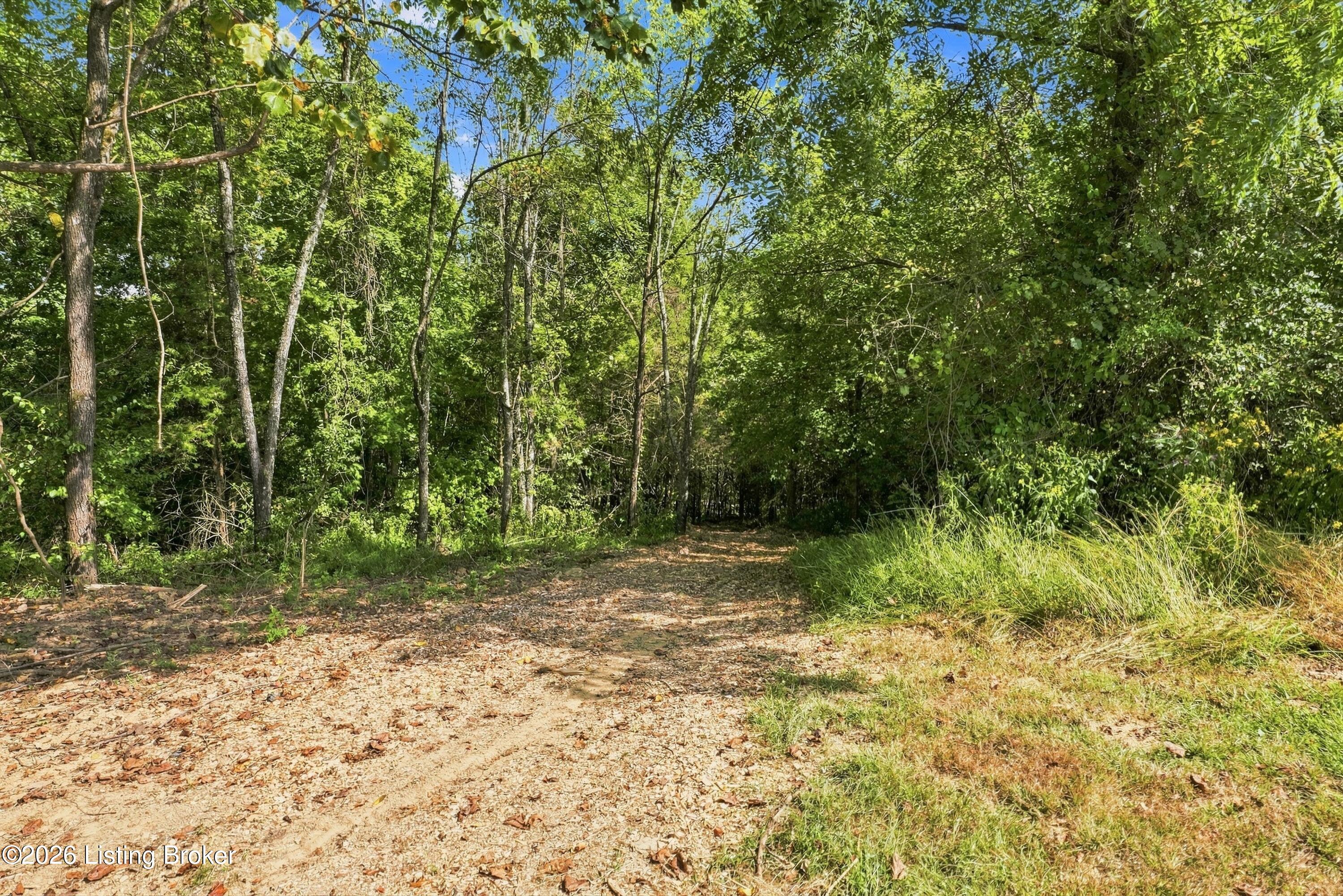 1339 Mill Rd Property Photo 50