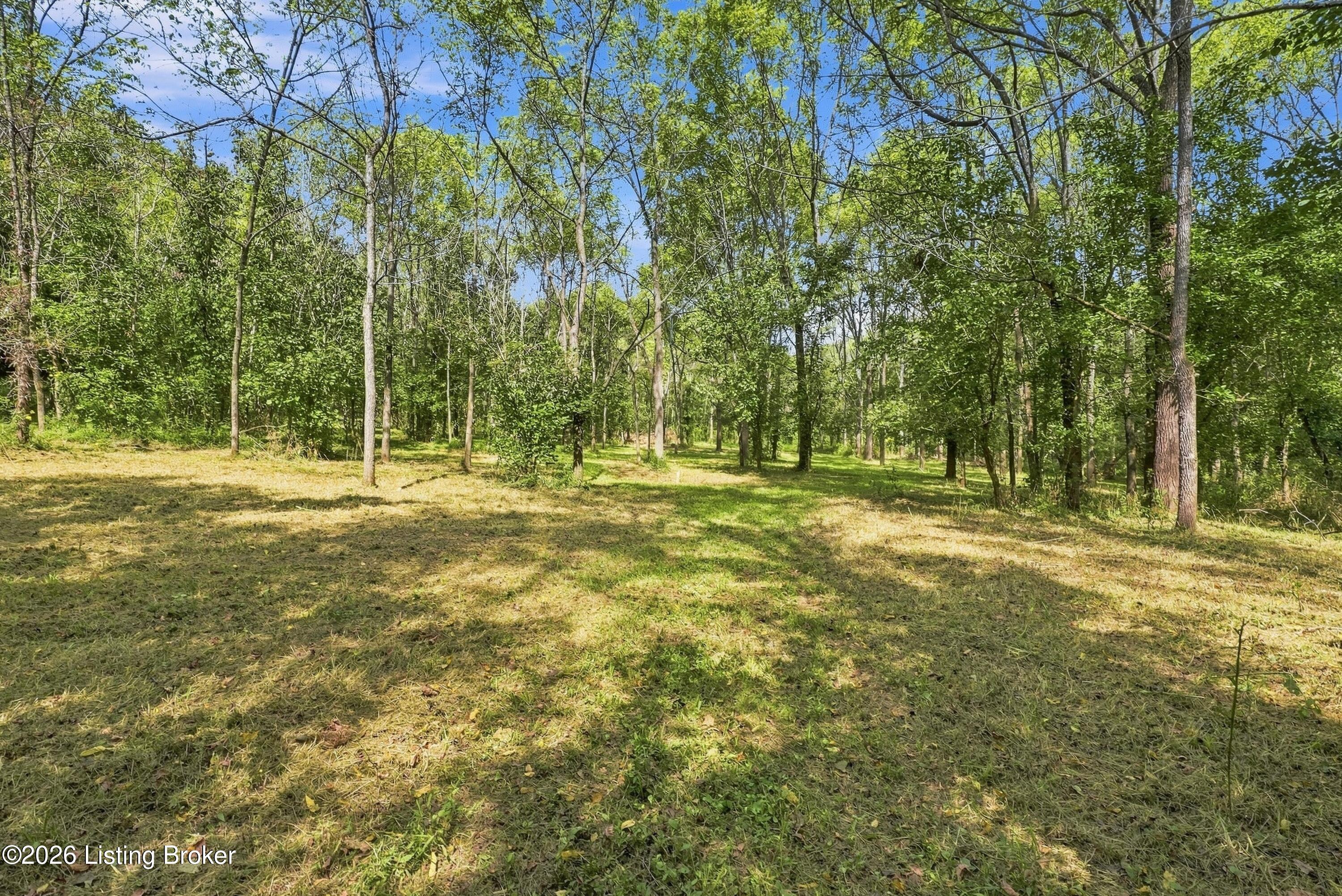1339 Mill Rd Property Photo 51