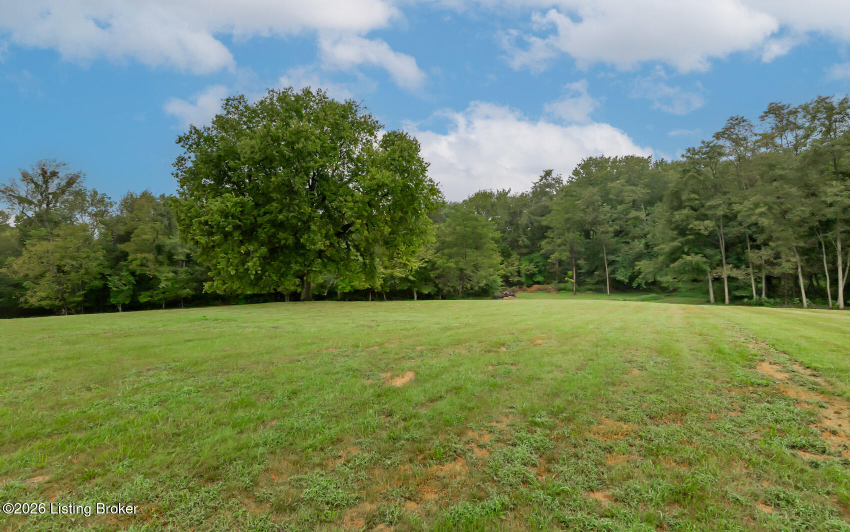92 Venetia Dr Property Photo 39