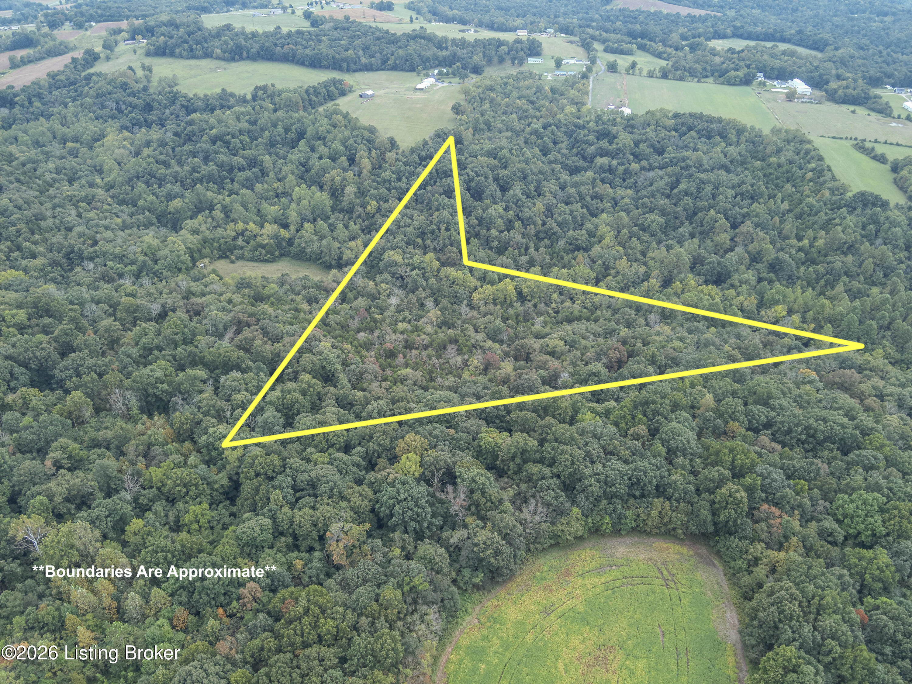 585 Tucker Higgs Rd Property Photo 3