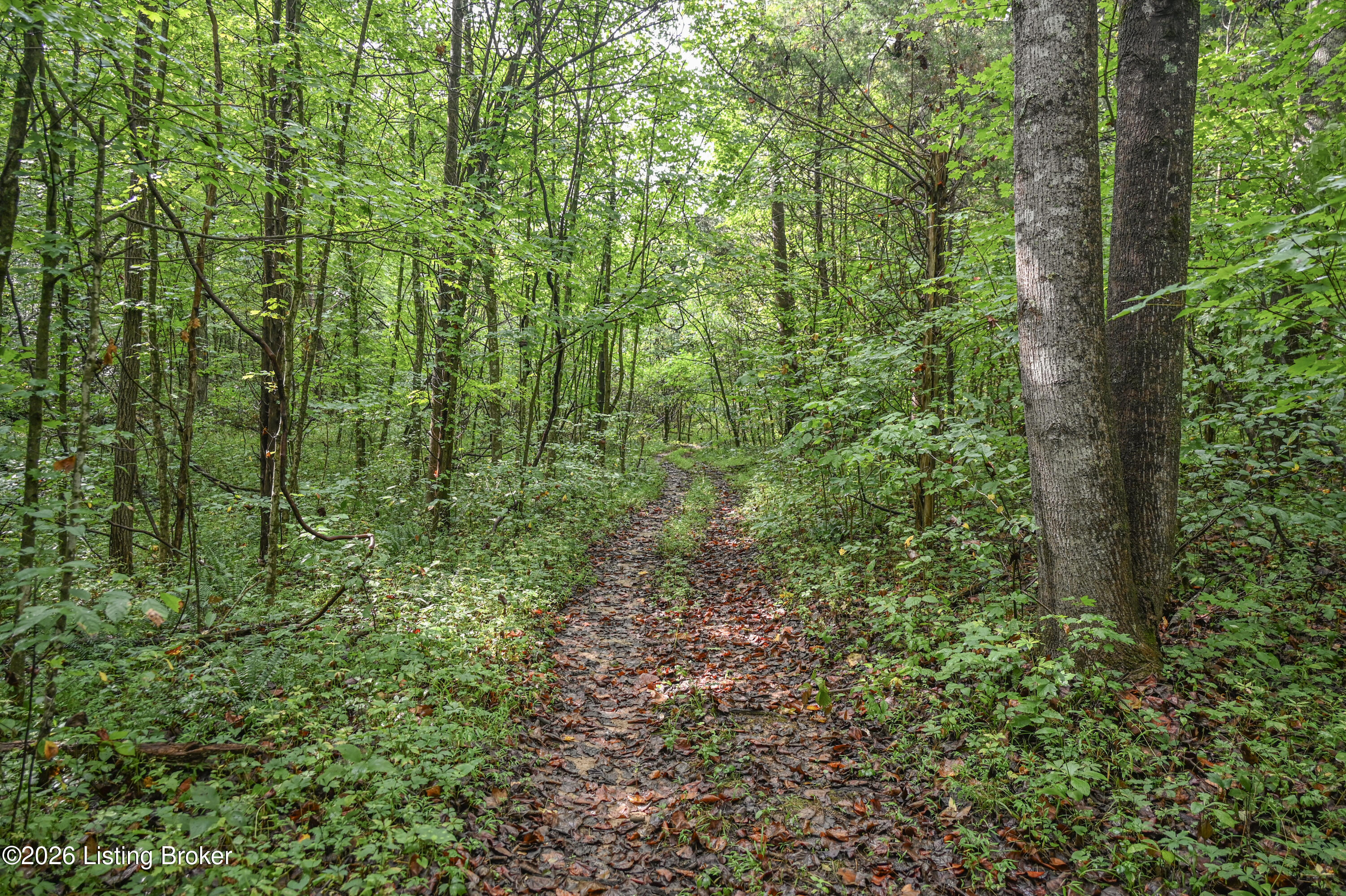585 Tucker Higgs Rd Property Photo 4