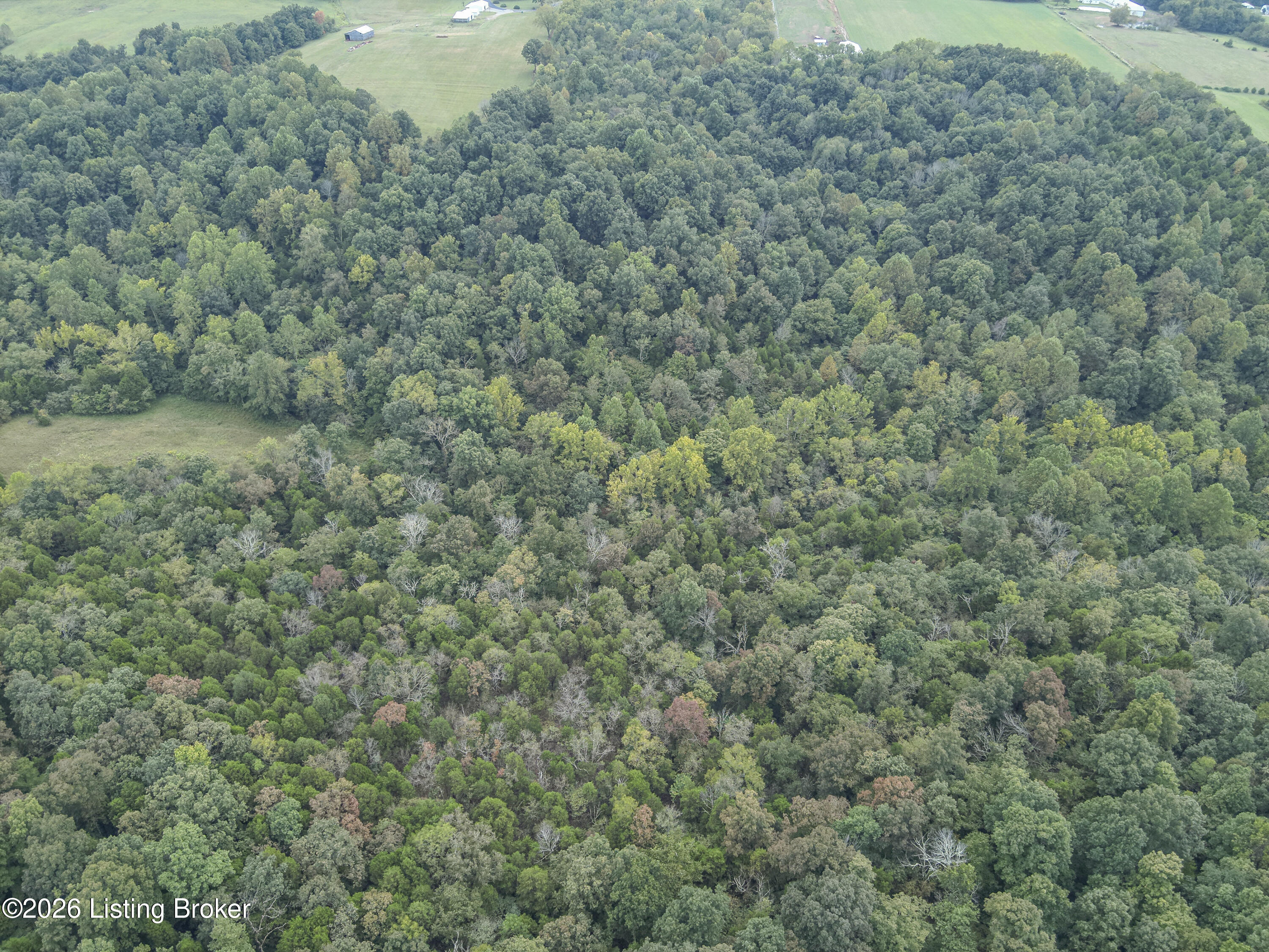 585 Tucker Higgs Rd Property Photo 6