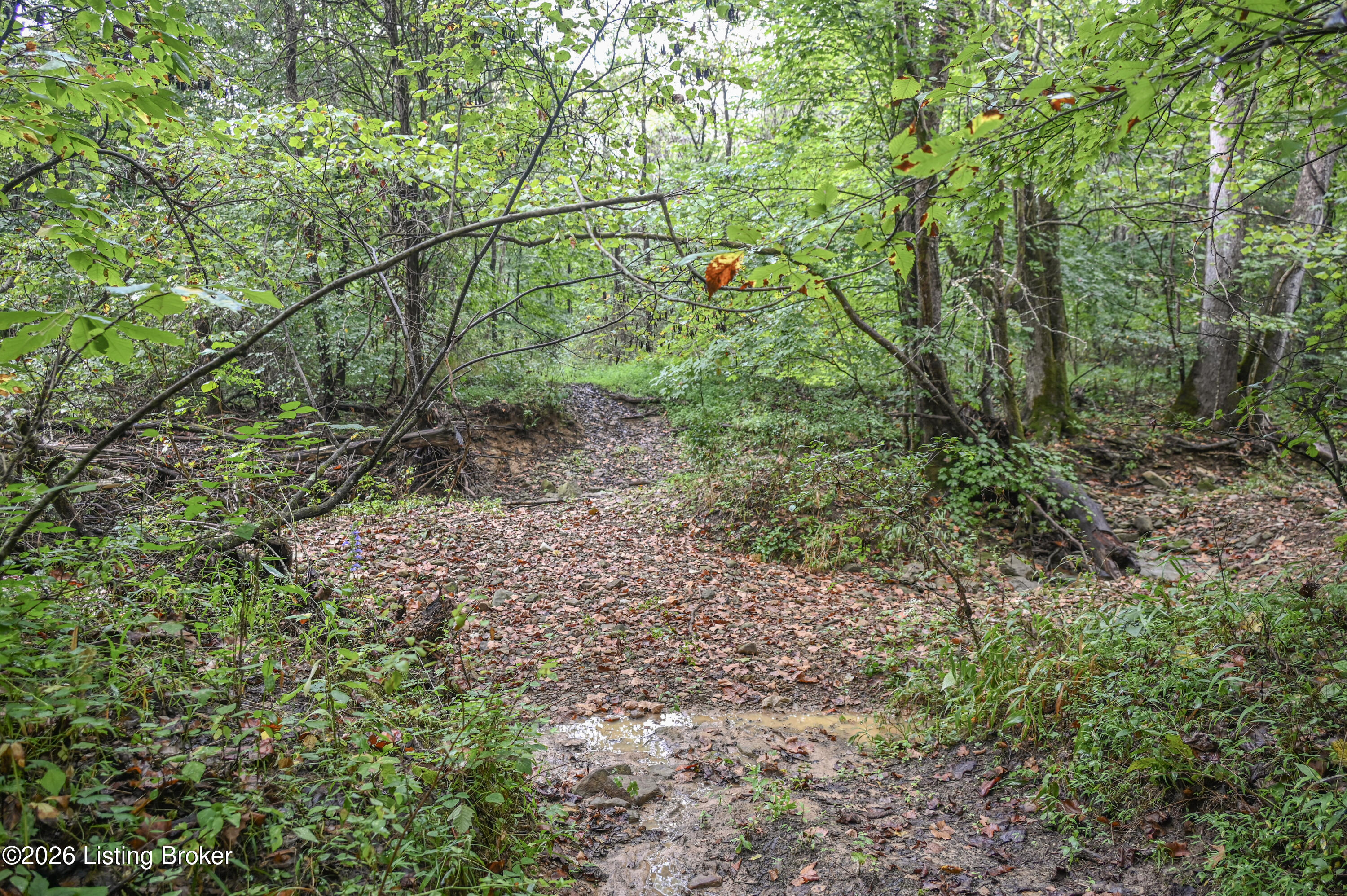585 Tucker Higgs Rd Property Photo 7