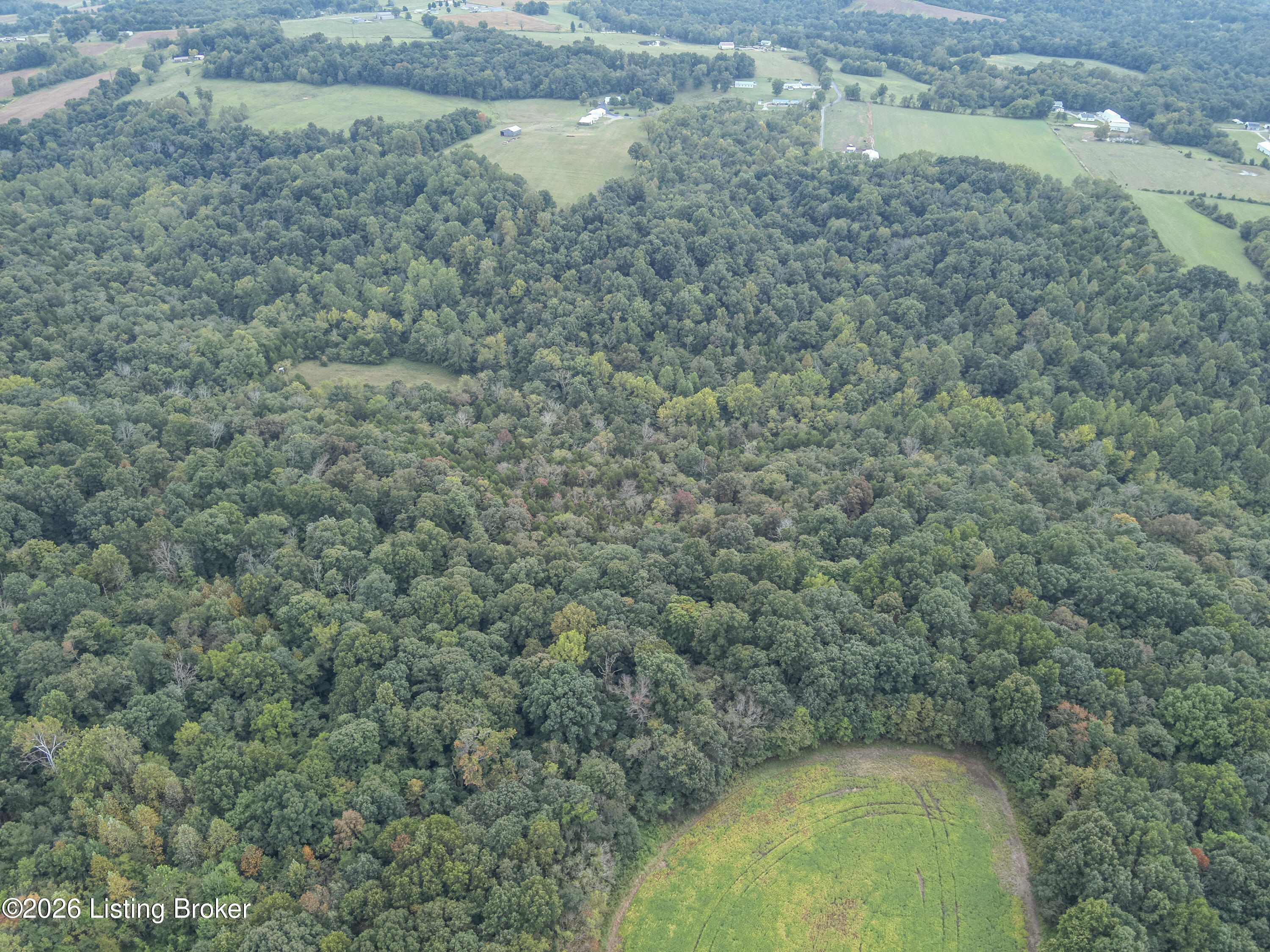 585 Tucker Higgs Rd Property Photo 8