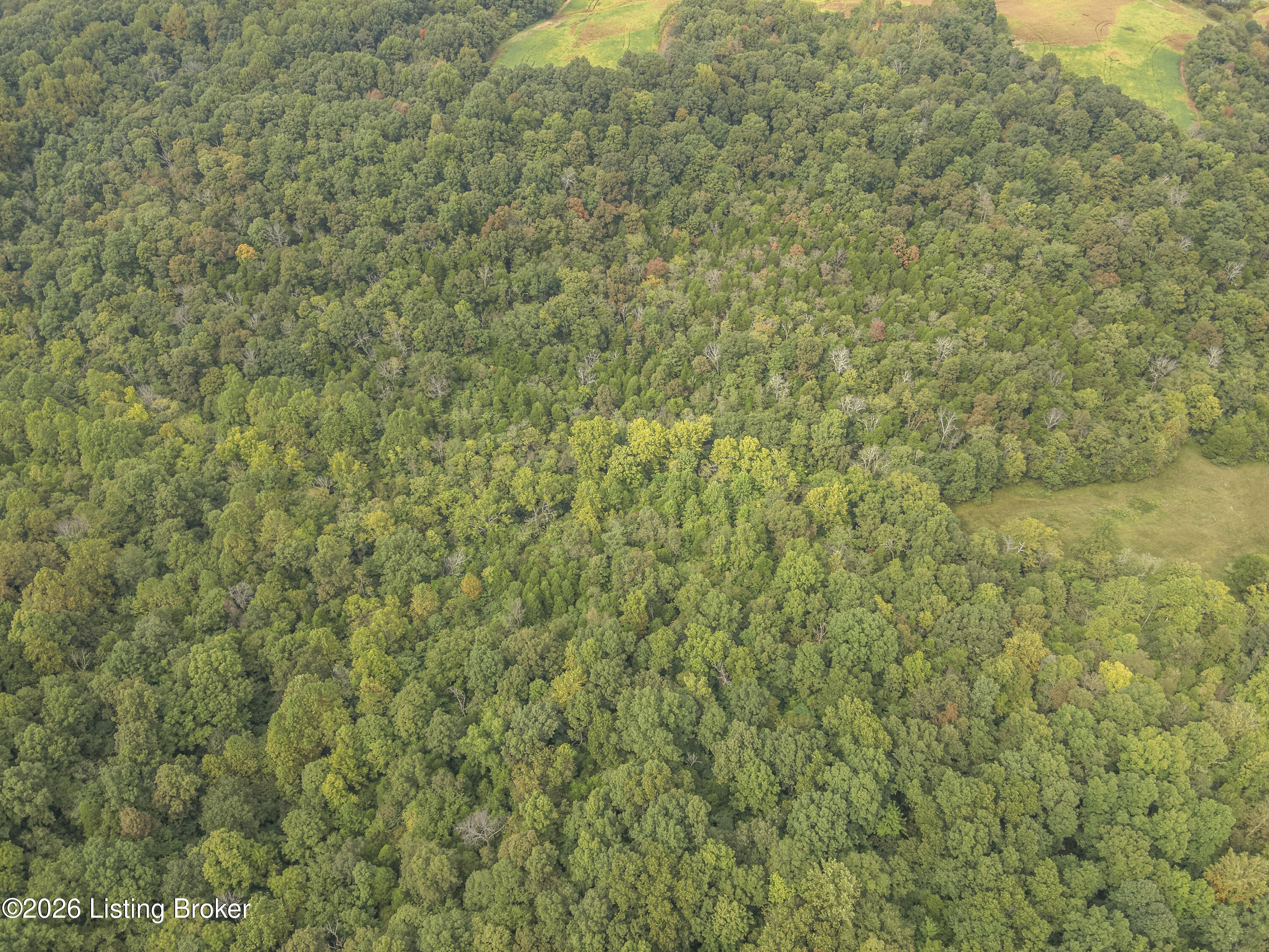 585 Tucker Higgs Rd Property Photo 9