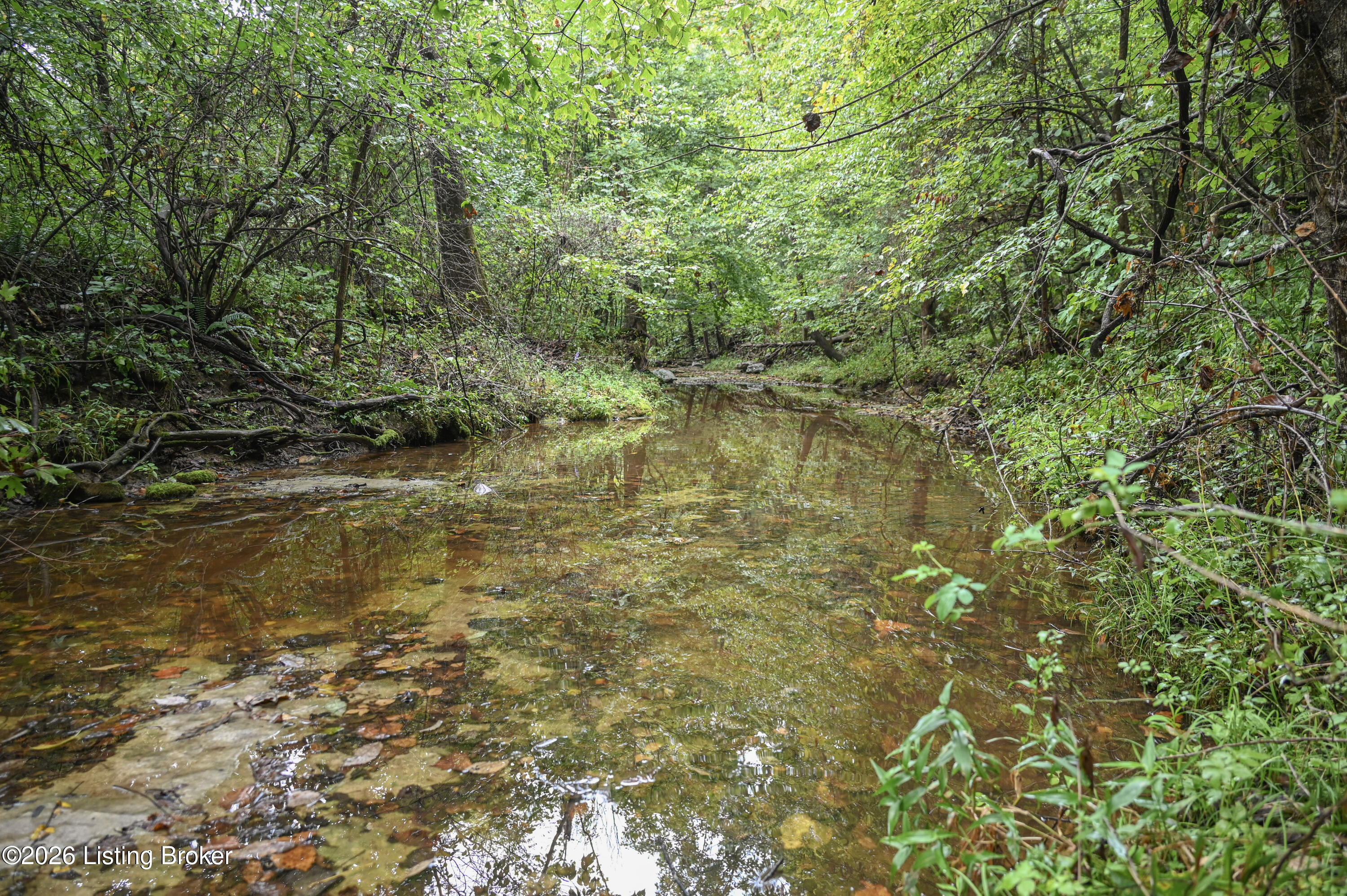 585 Tucker Higgs Rd Property Photo 10