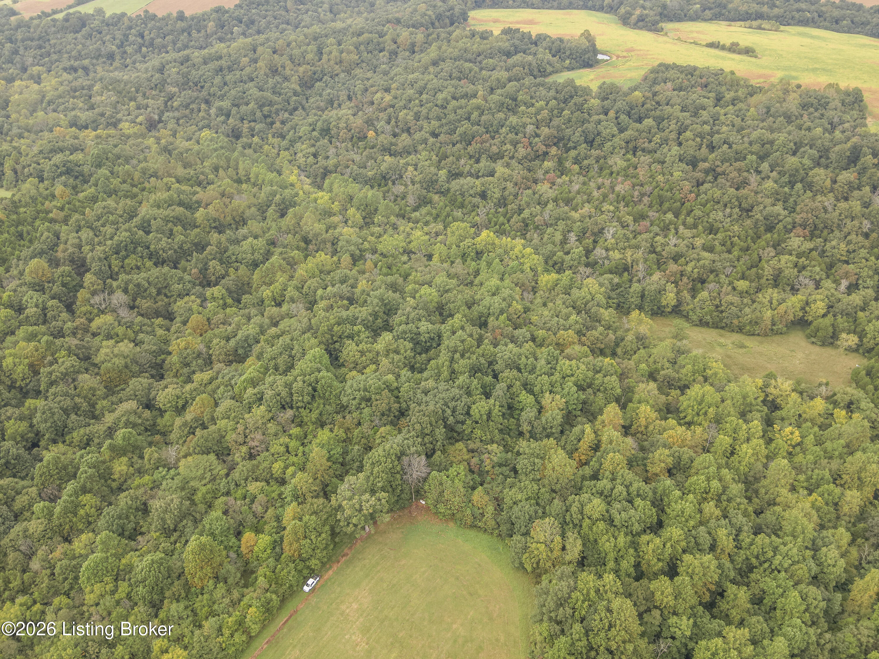 585 Tucker Higgs Rd Property Photo 11